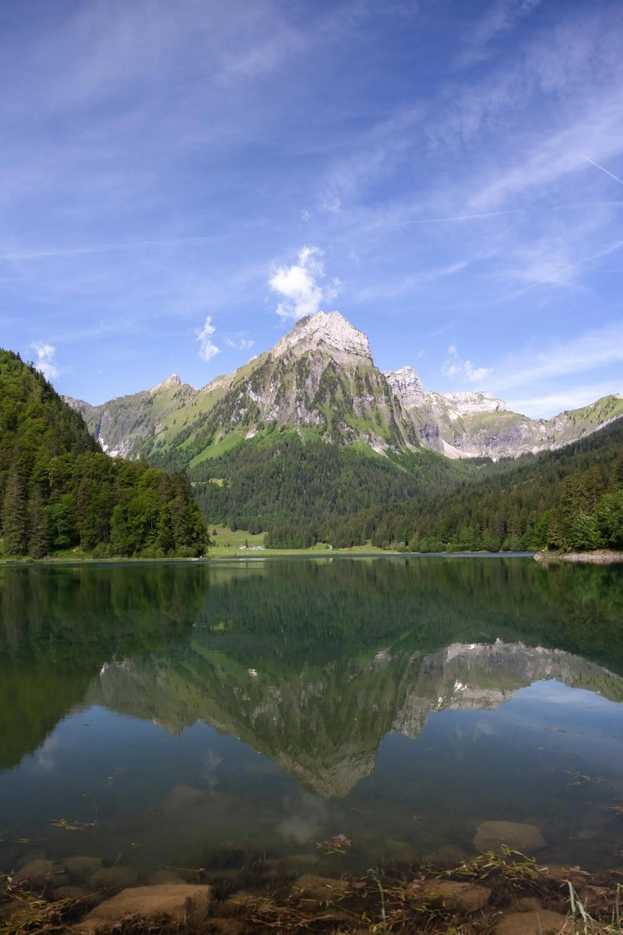 Area and facilities in Berghotel Obersee