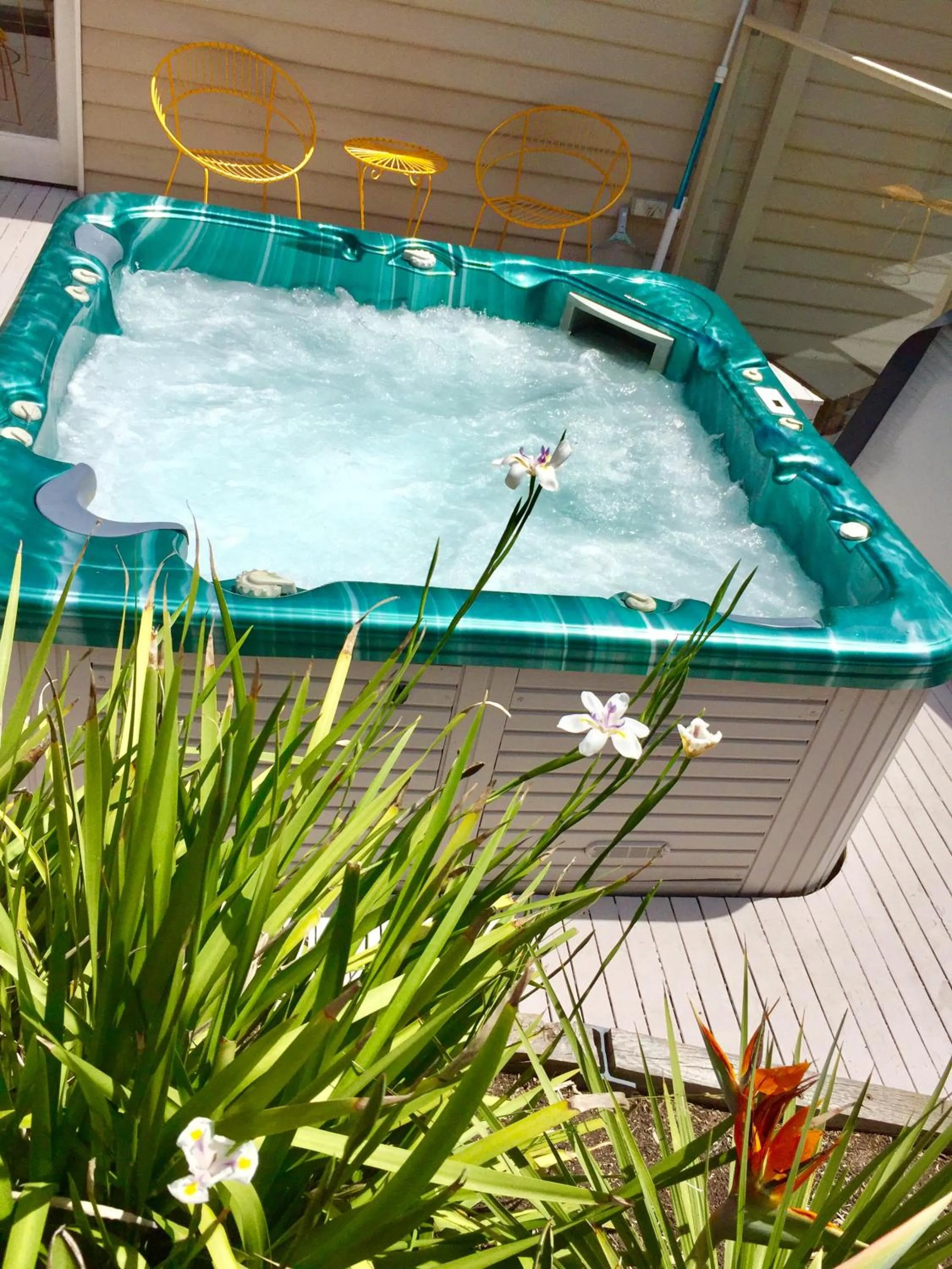 Area and facilities in Sunny Side Up B&B Rye