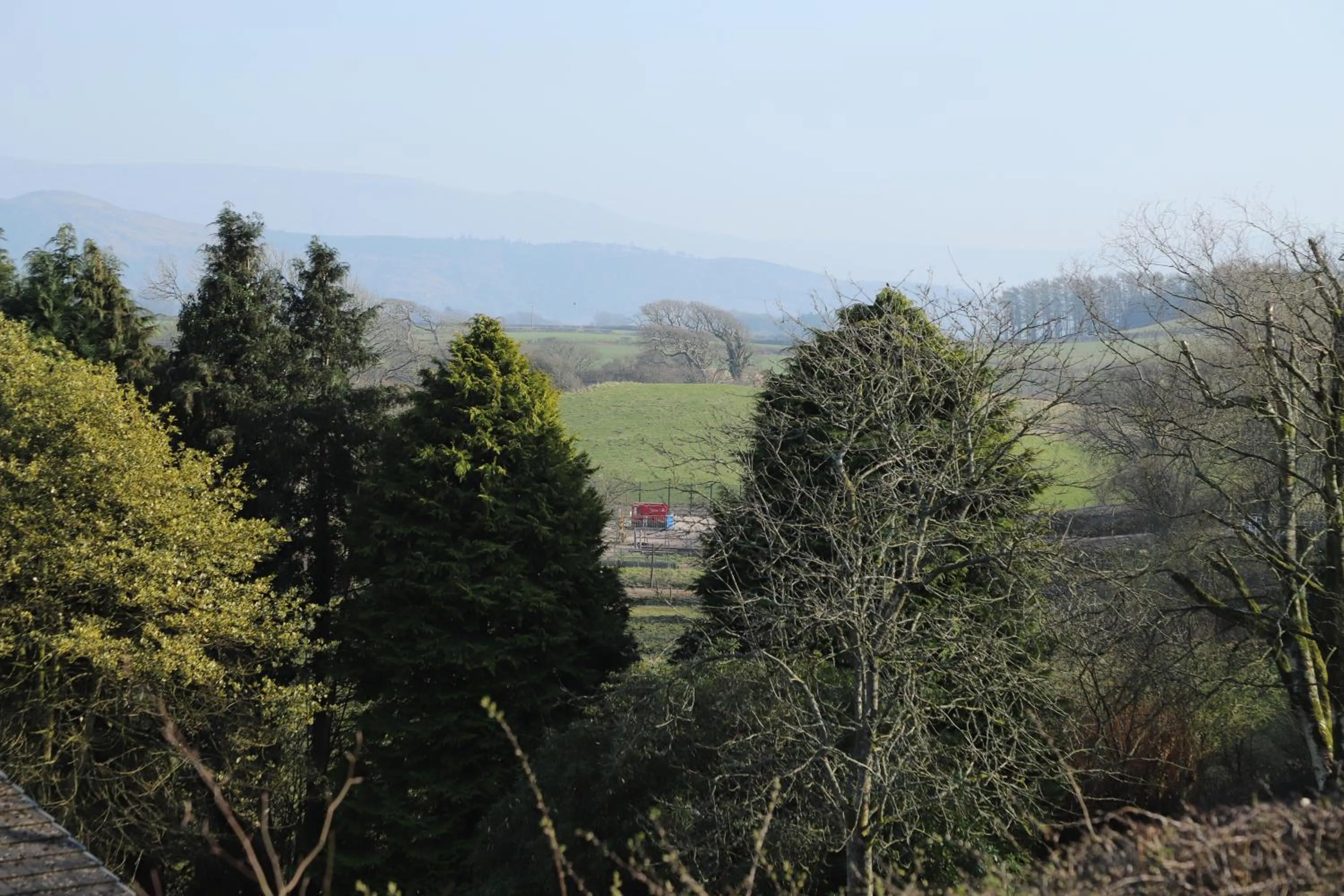 Natural landscape in The Kellbank