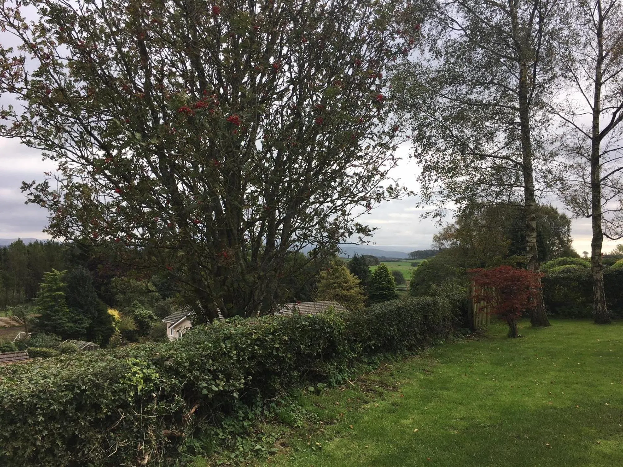 View (from property/room) in The Kellbank