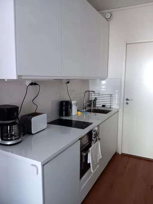 Kitchen or kitchenette in Kotimaailma Aparthotel Kamppi - pieni yksiö