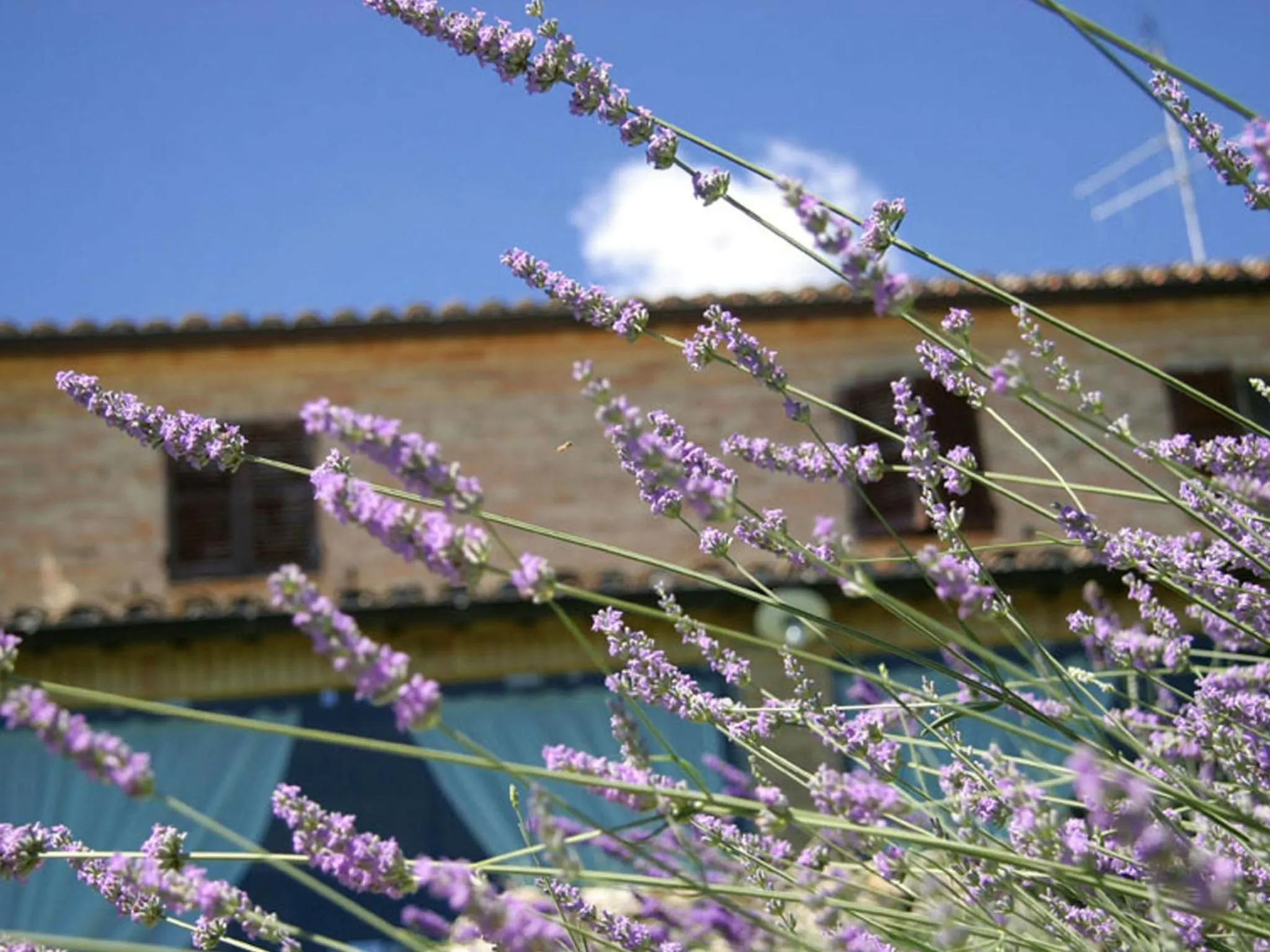 Property building in Villarondanella