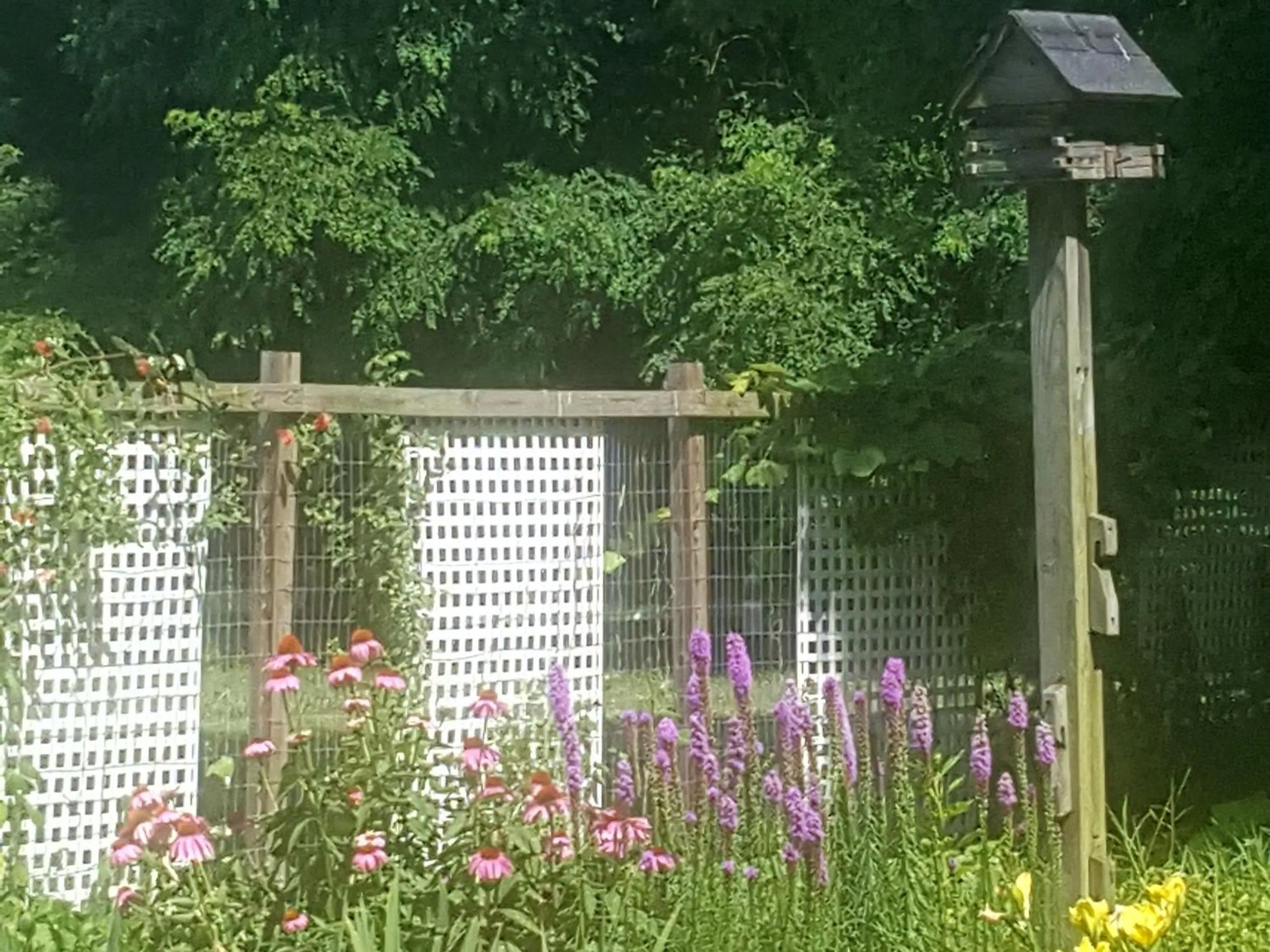 Other in Haven Point Inn