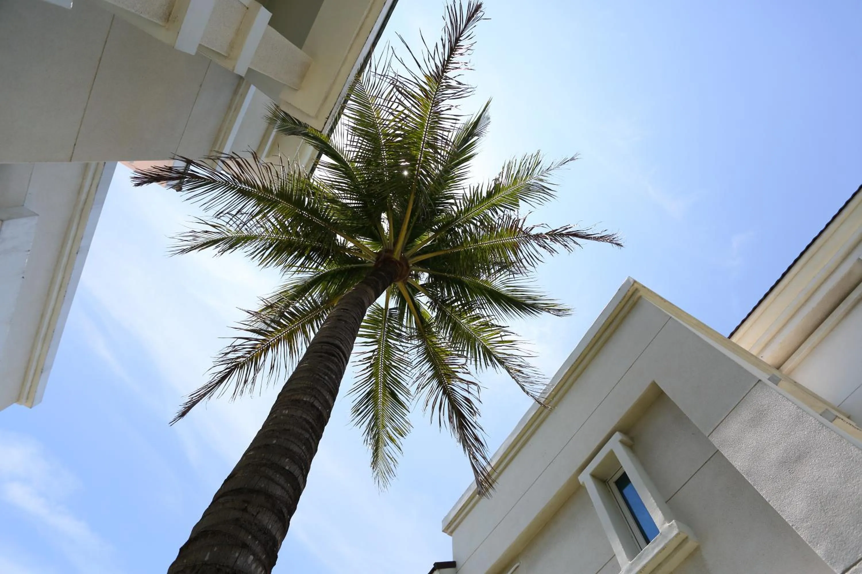 Other in Taroko Bay B&B