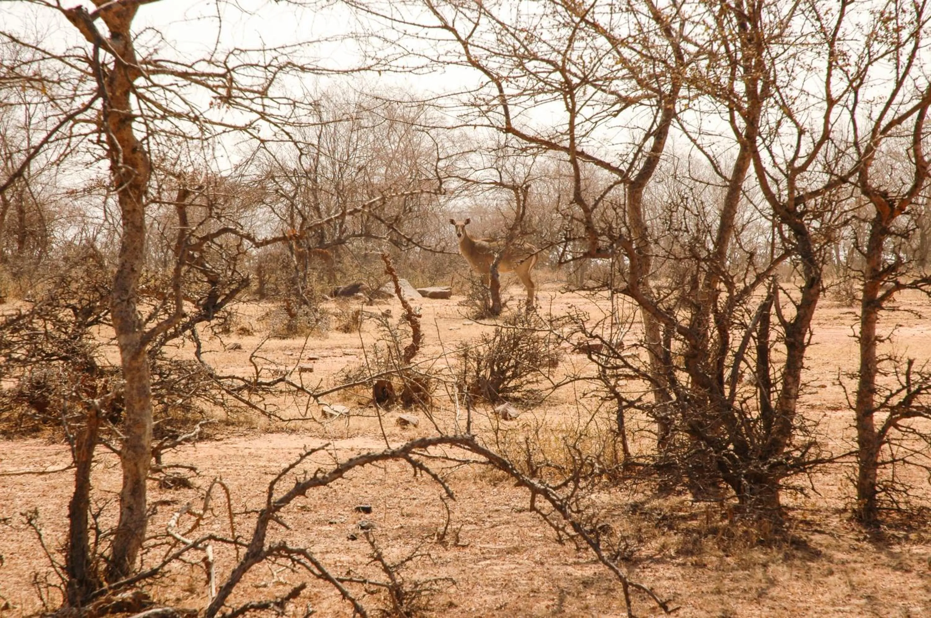 Neighbourhood in Ramathra Fort