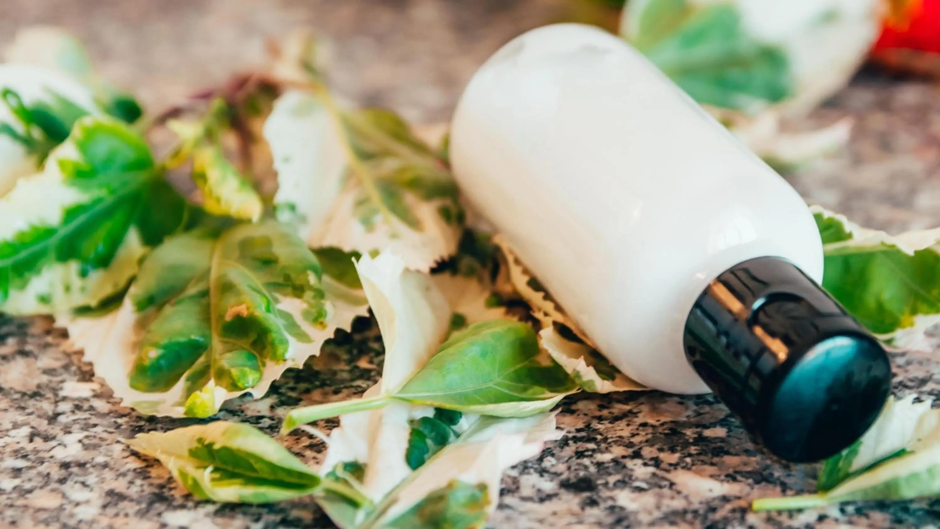 Bathroom in Rhythm Kumarakom