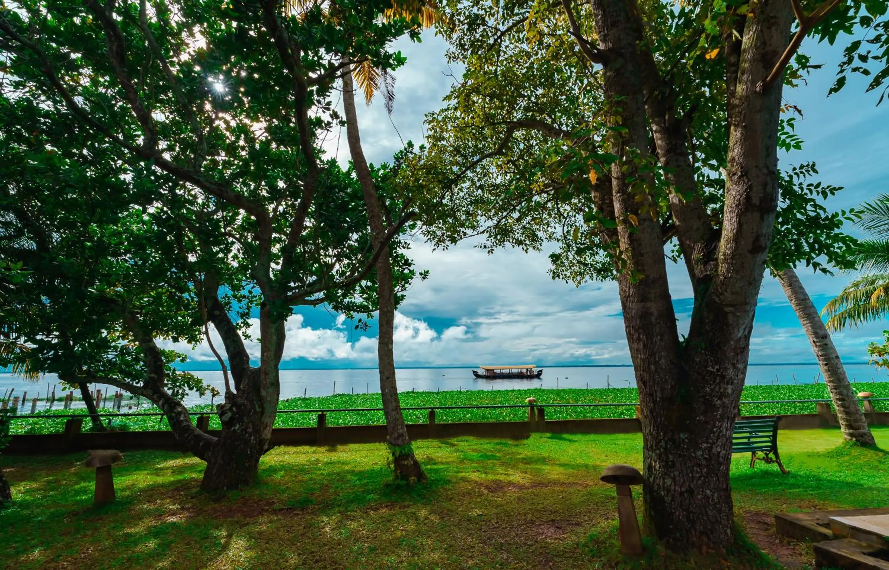 Garden view in Rhythm Kumarakom