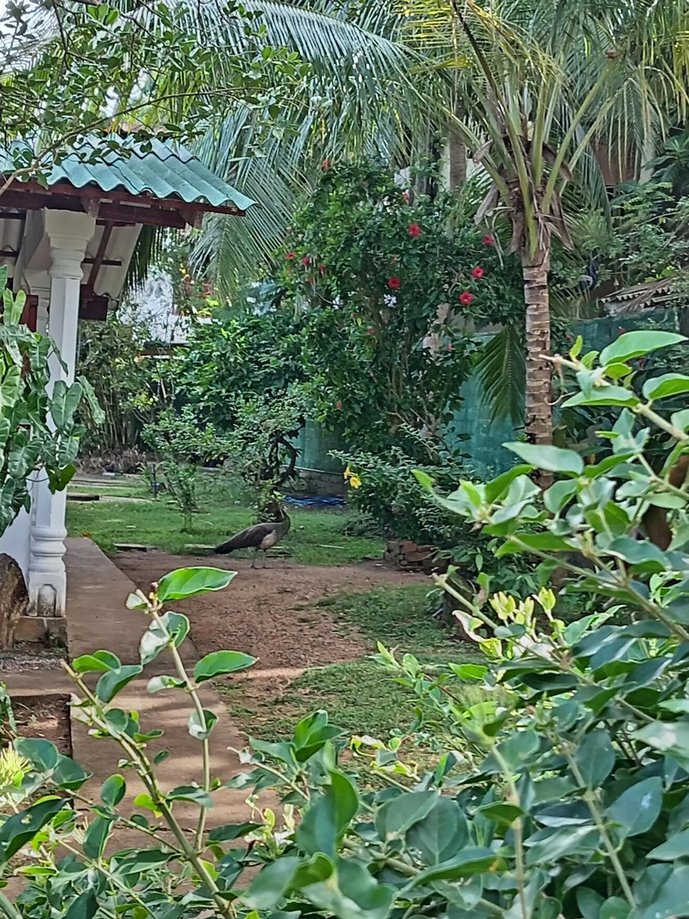 Triple Room with Garden View - single occupancy in Vidisa Villas Triple Room with Garden View - single occupancy in Vidisa Villas