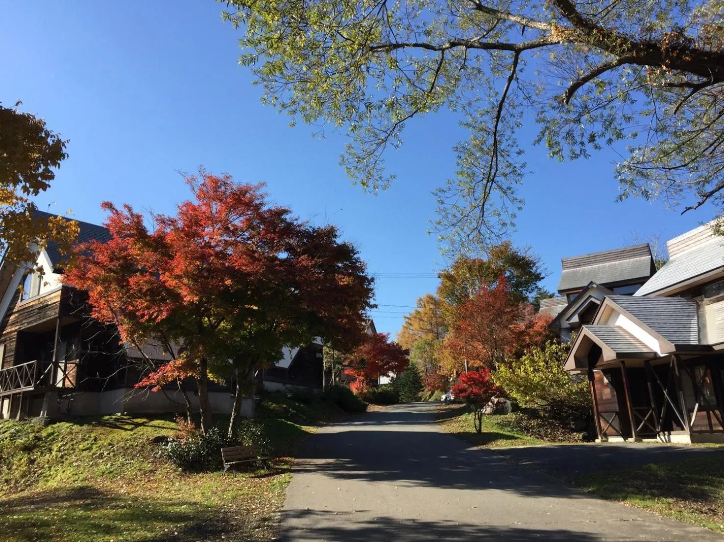 Property building in Nature Cottage Akabeko
