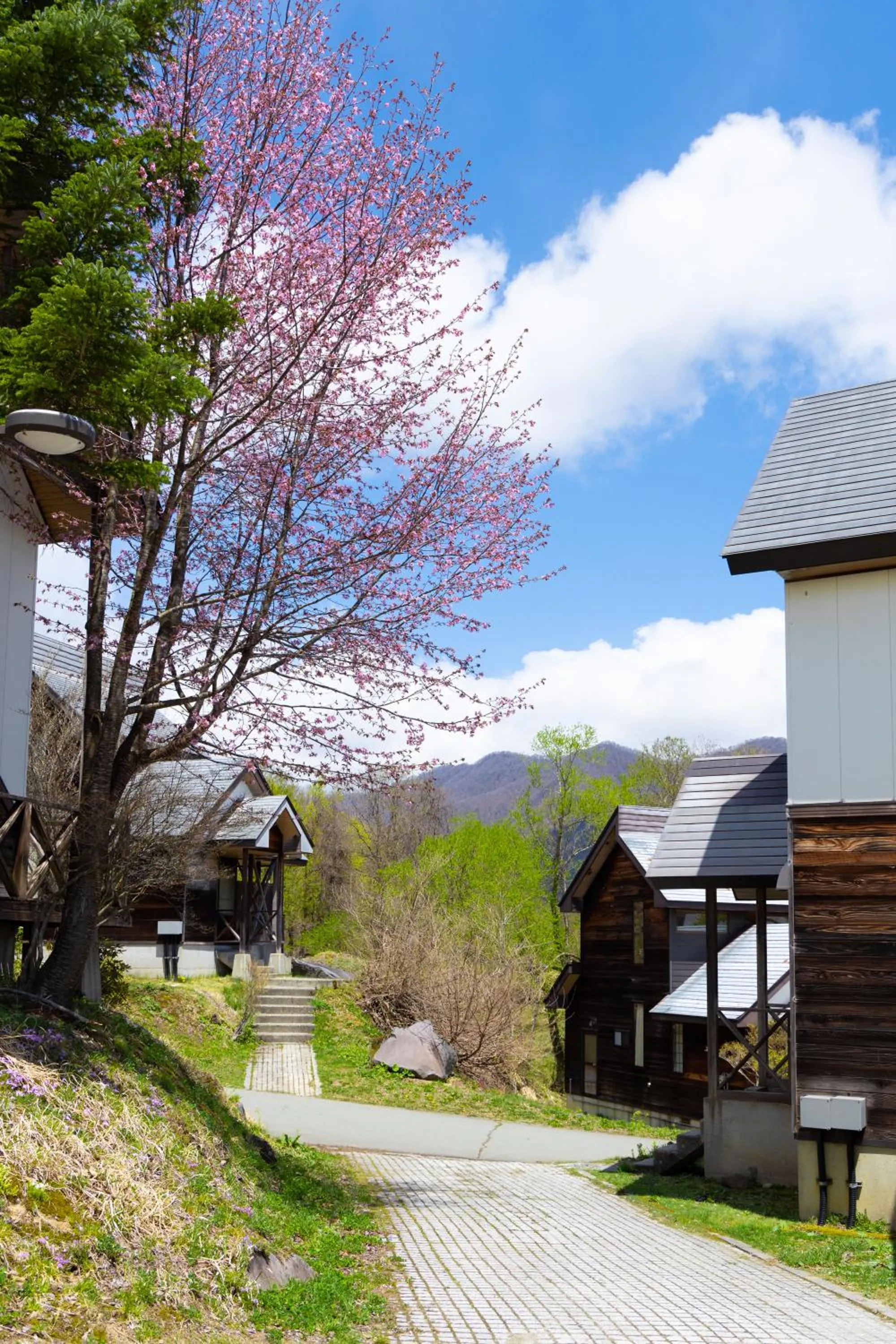Property building in Nature Cottage Akabeko