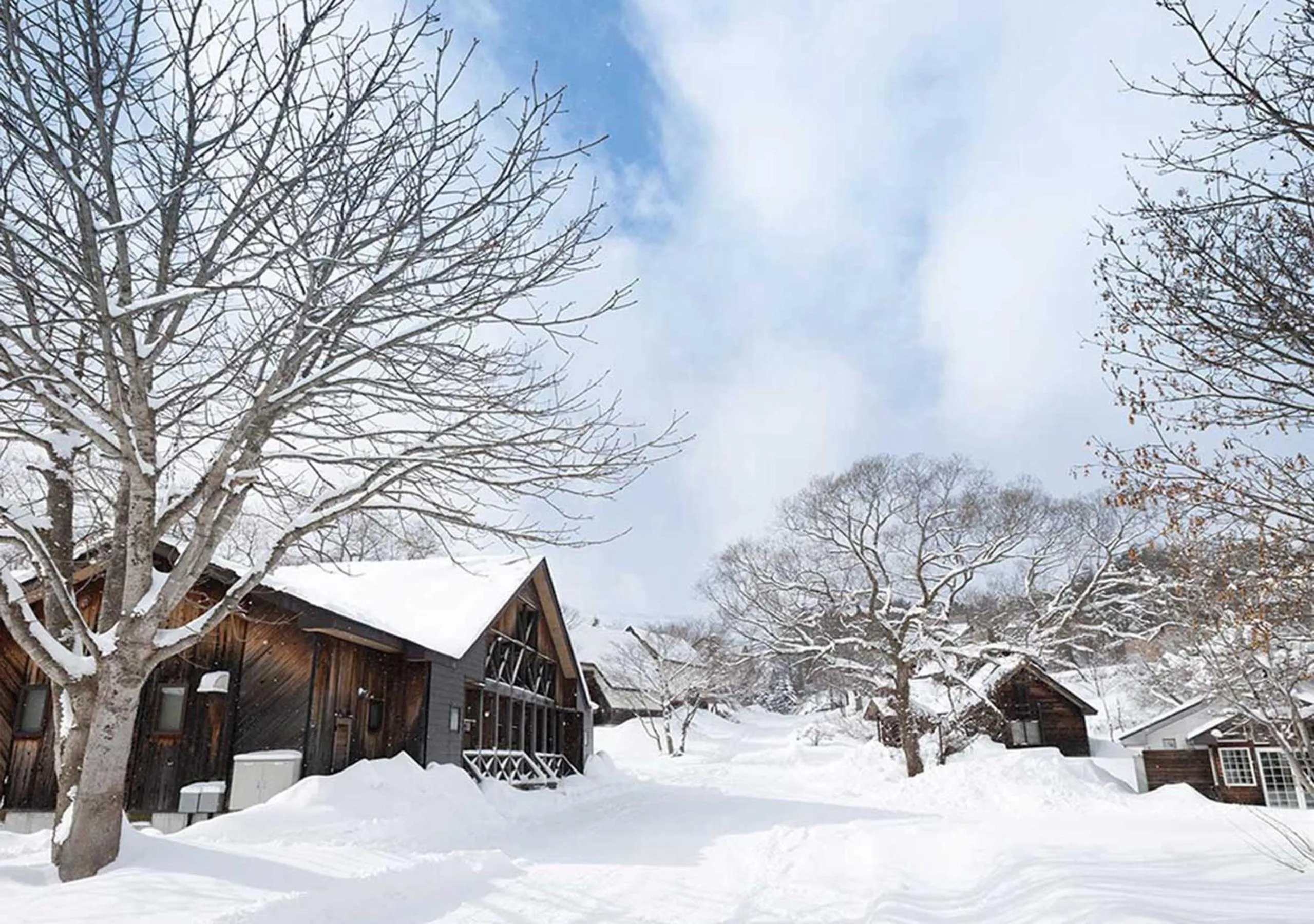 Natural landscape in Nature Cottage Akabeko
