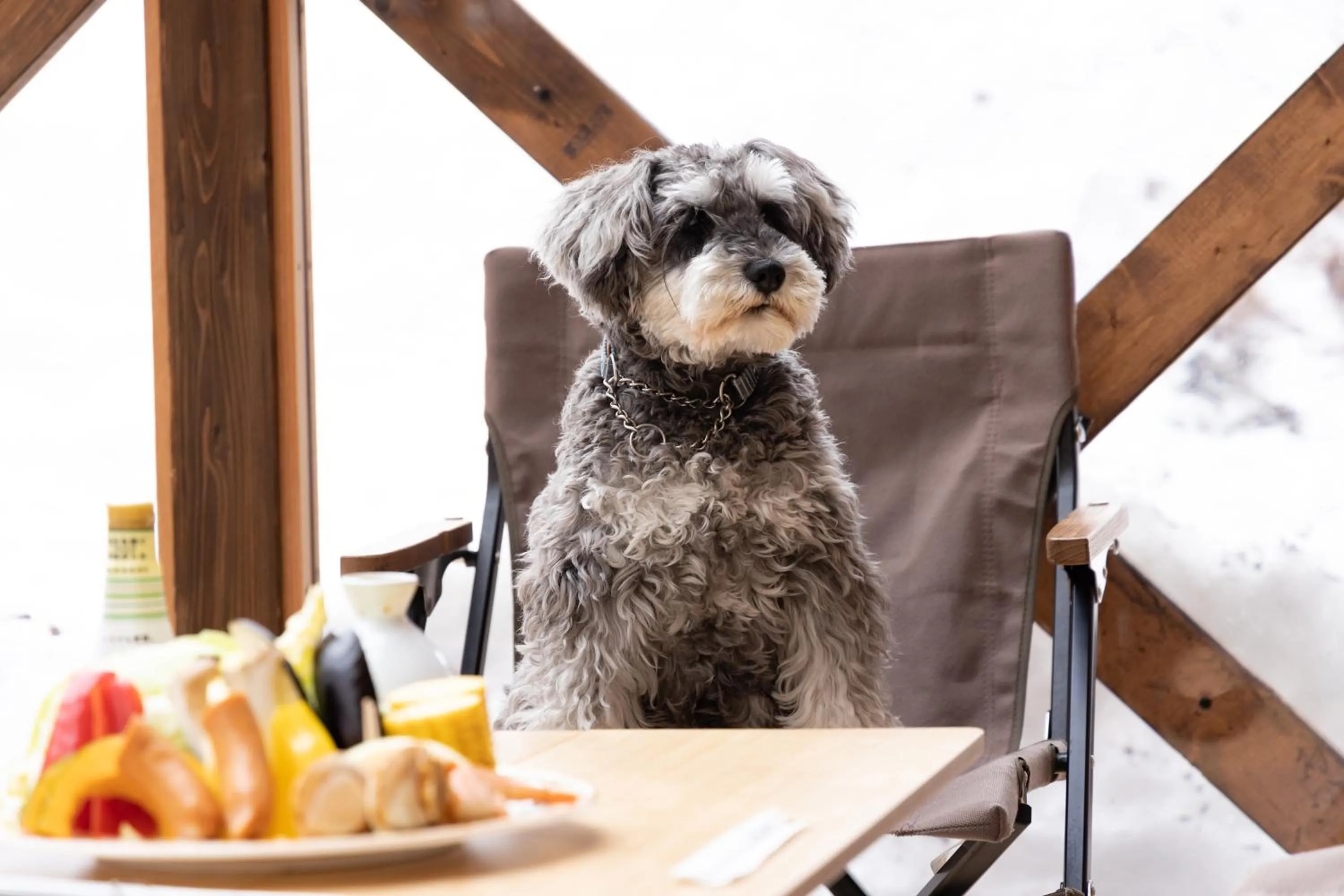 Pets in Nature Cottage Akabeko