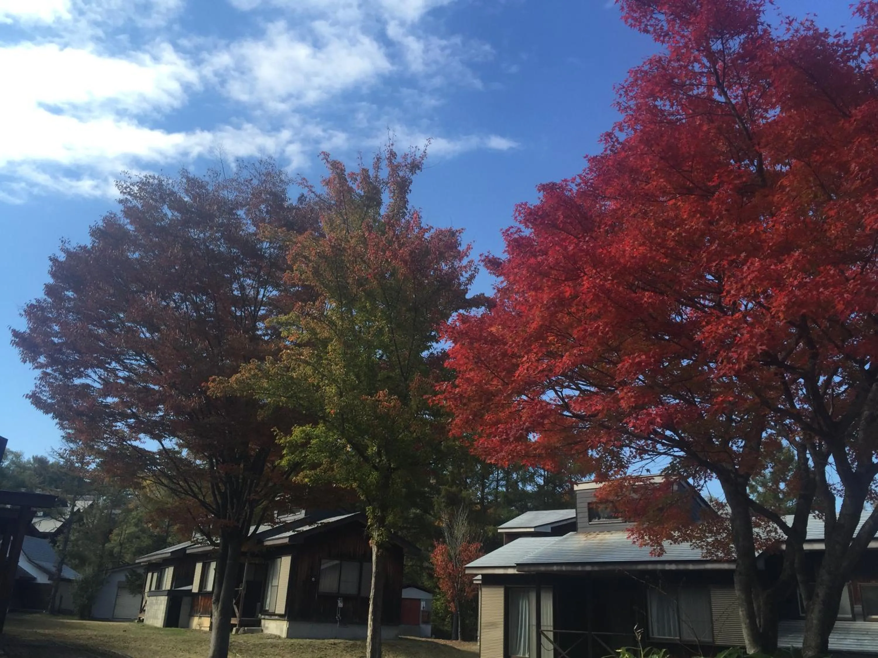 Mountain view in Nature Cottage Akabeko