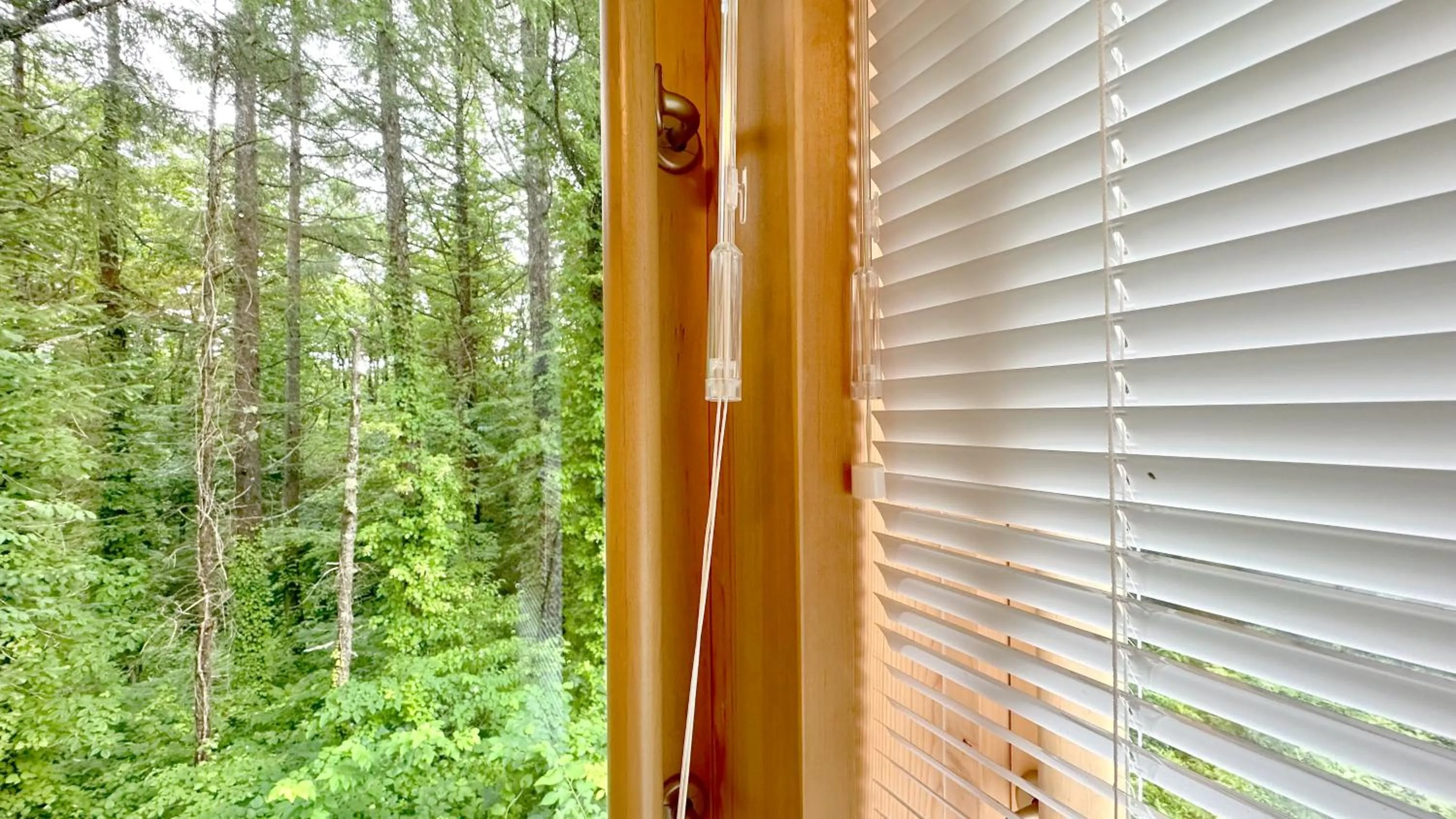Bathroom in Nature Cottage Akabeko