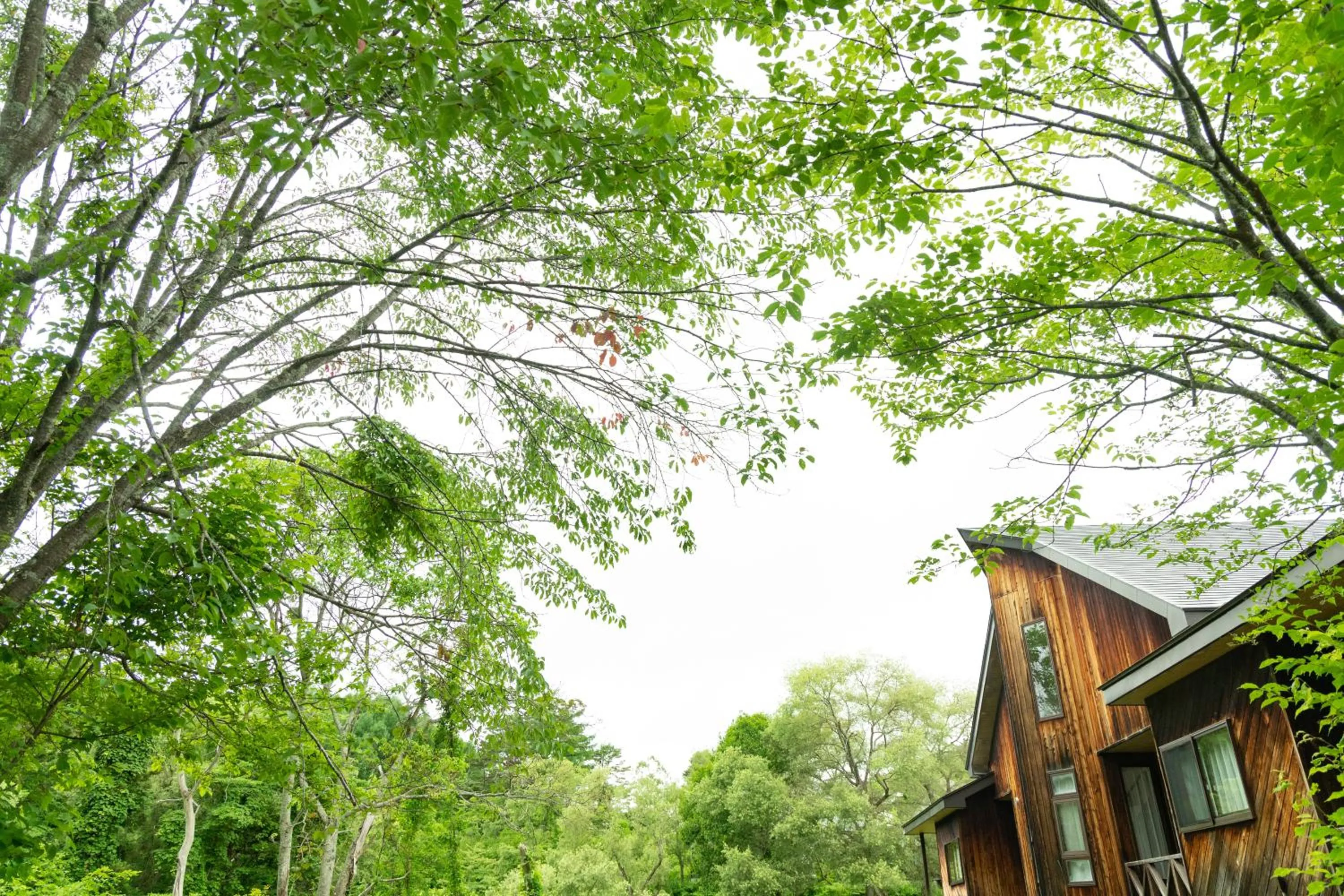 Day in Nature Cottage Akabeko