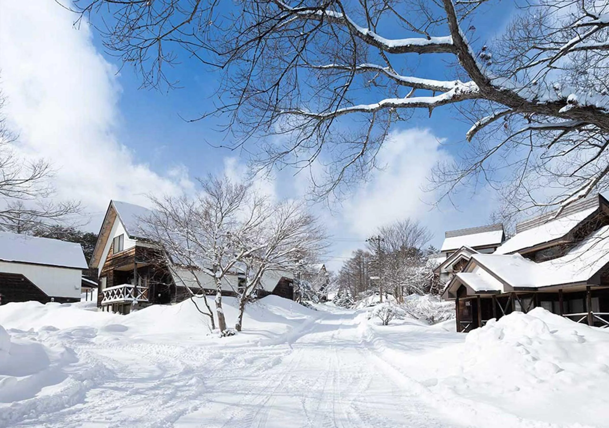 Natural landscape in Nature Cottage Akabeko