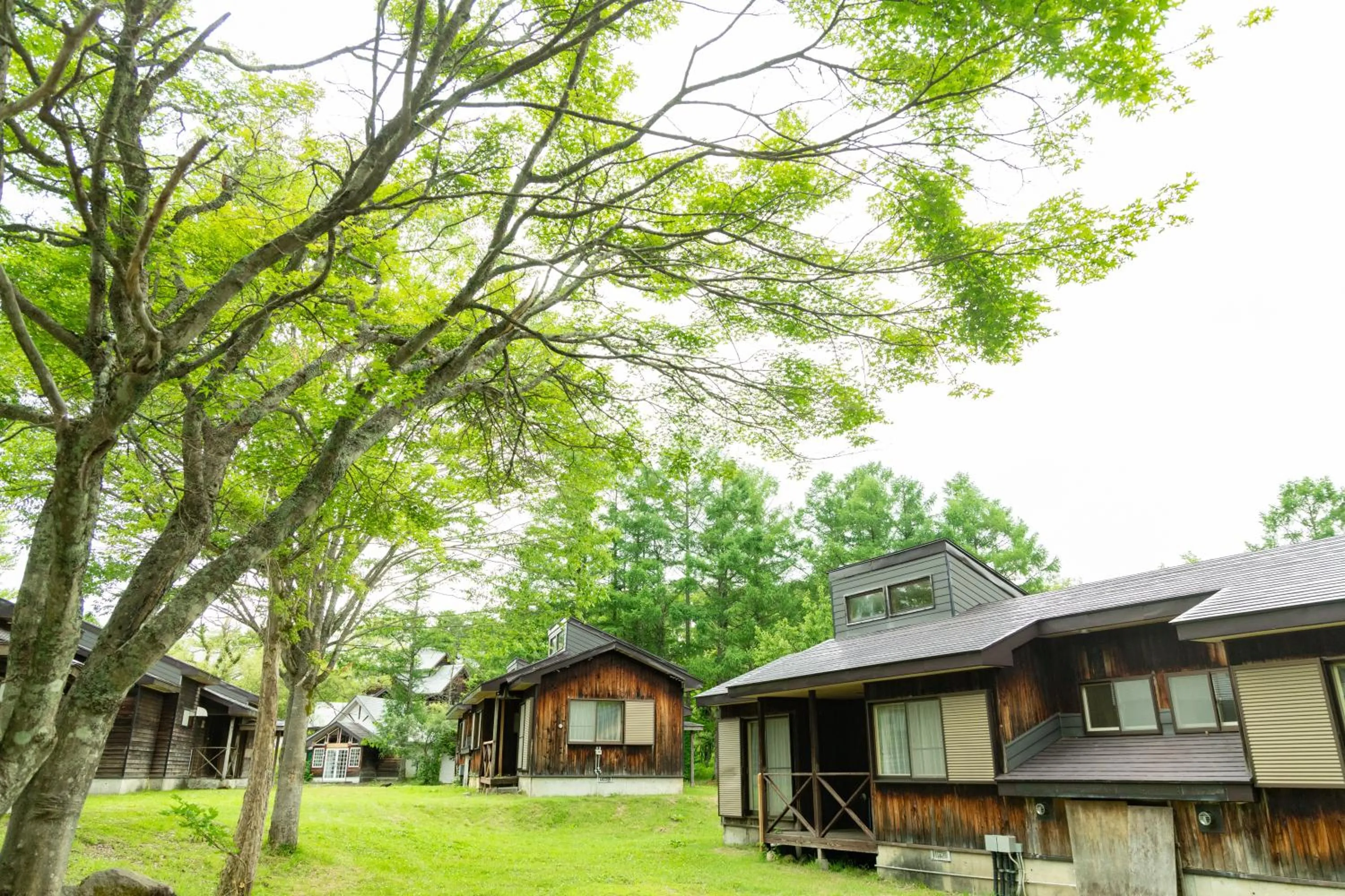 Day in Nature Cottage Akabeko