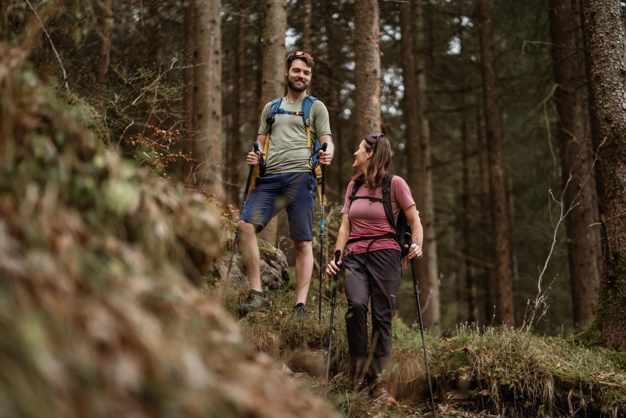 Day in Hotel-Gasthof Der Wiesengrund
