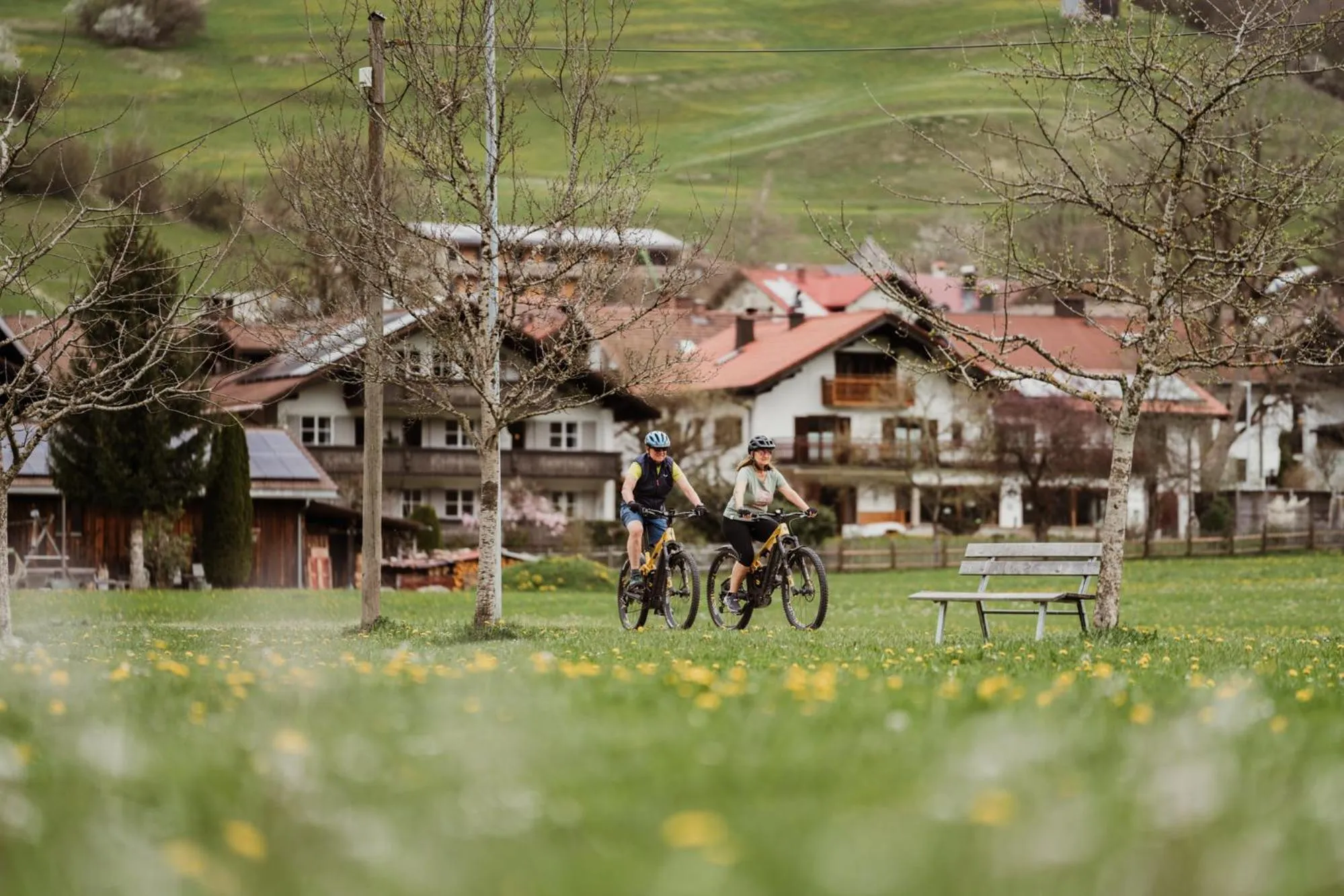 Spring in Hotel-Gasthof Der Wiesengrund