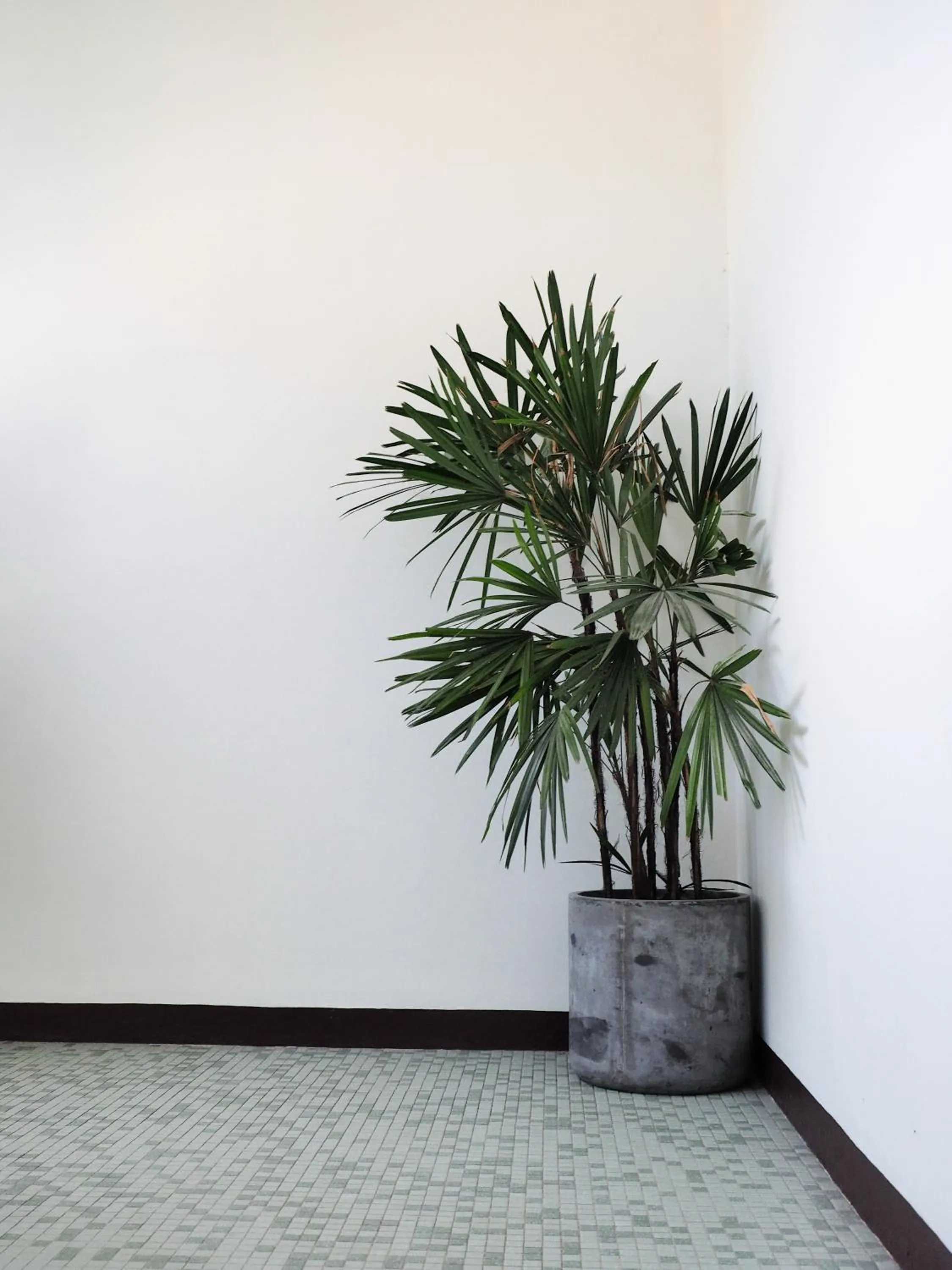 Property building in Siri Hotel Phuket