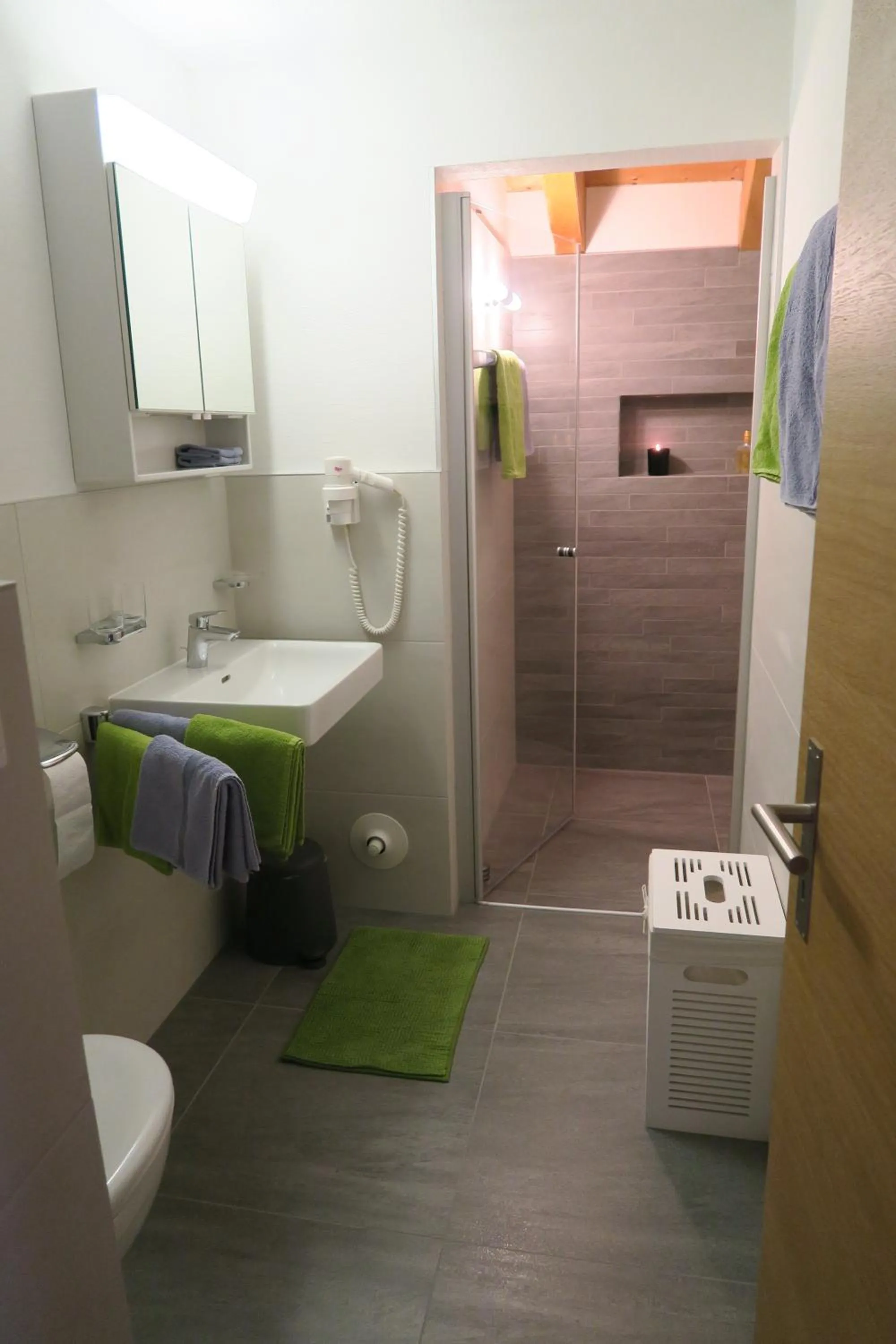Shower in Apartment Madlaina