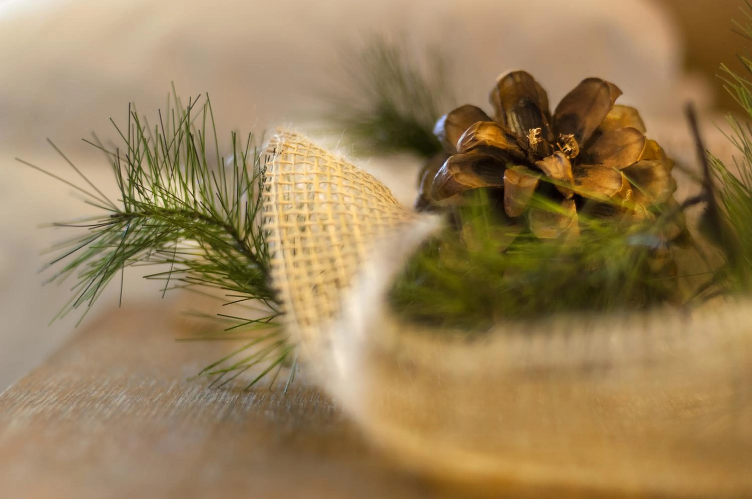 Other in Grand Hotel Biancaneve