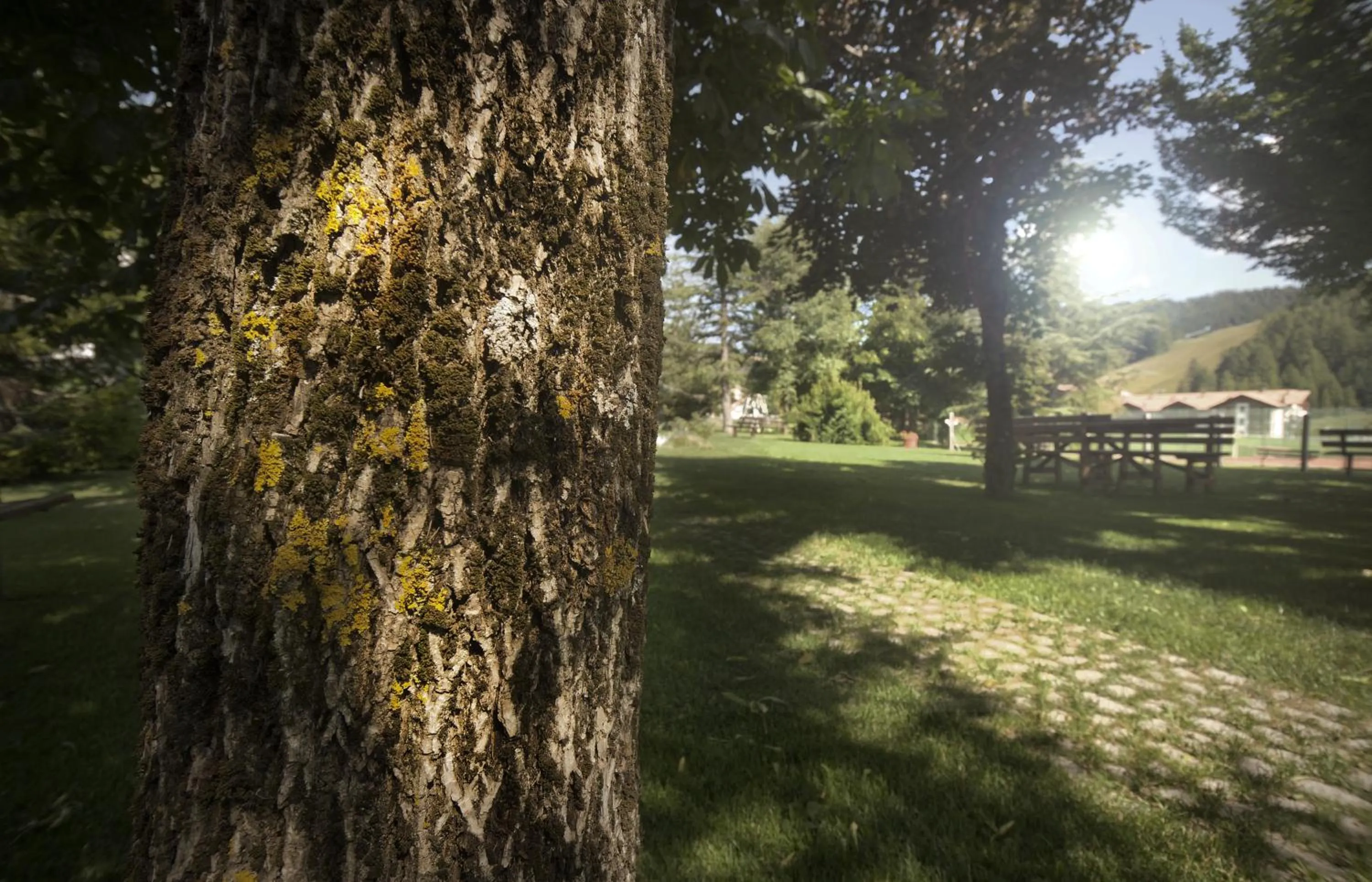 Garden in Grand Hotel Biancaneve