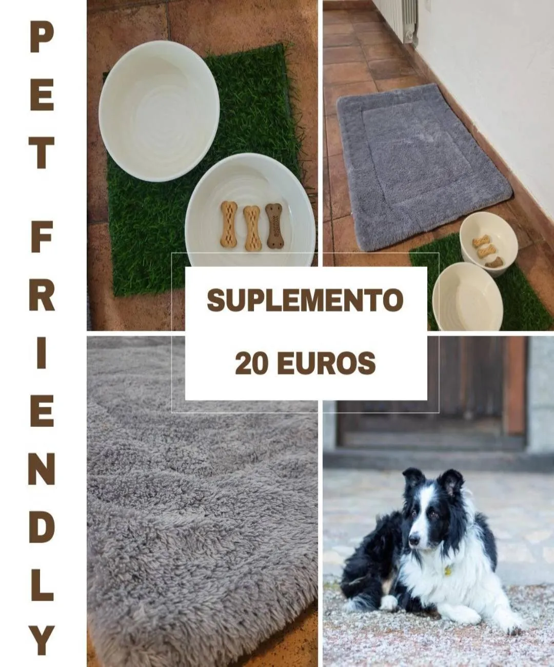 pet friendly in Posada Peña Pintada by Vivere Stays