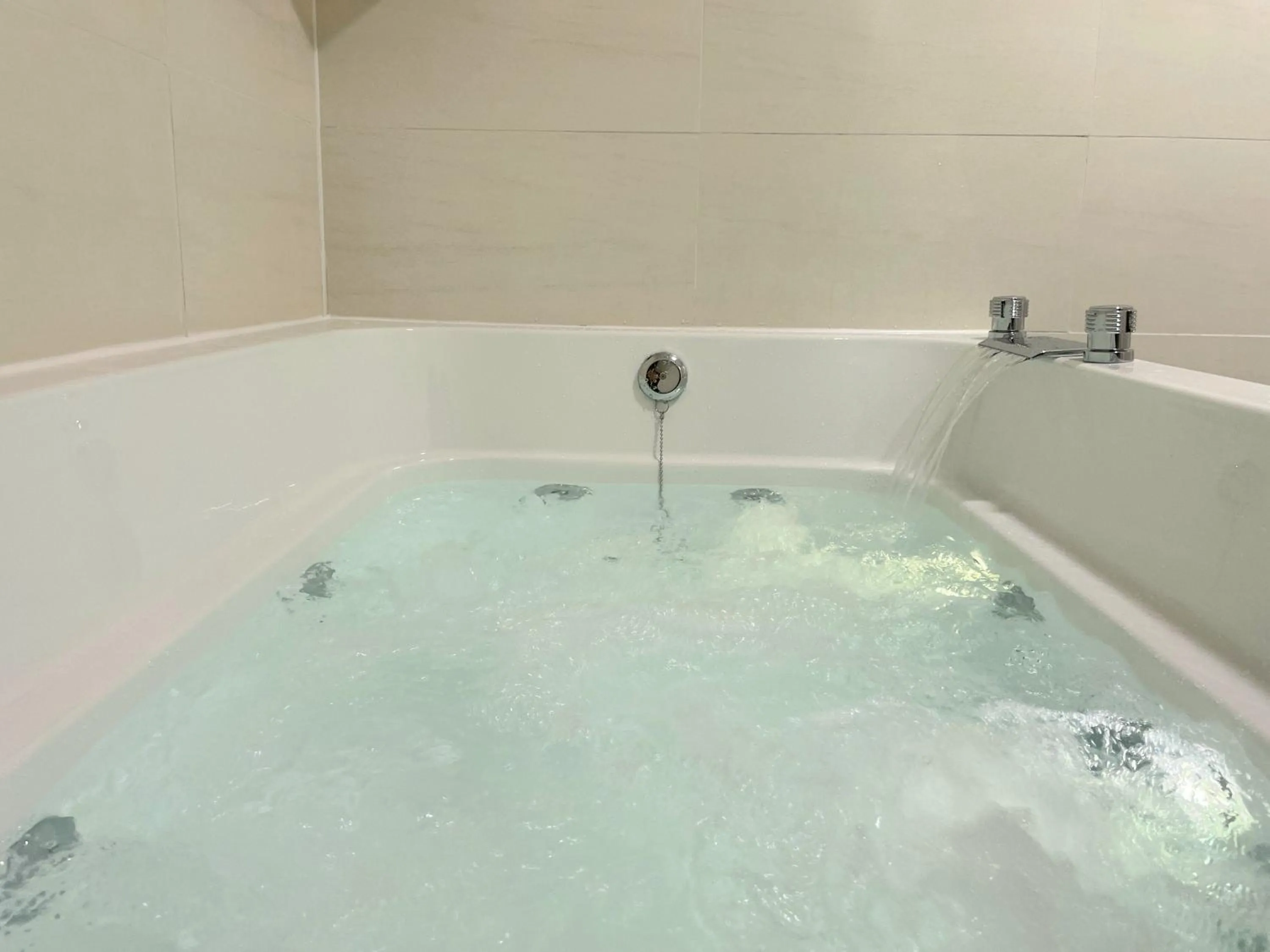 Gapyeong Stayel pet Pension