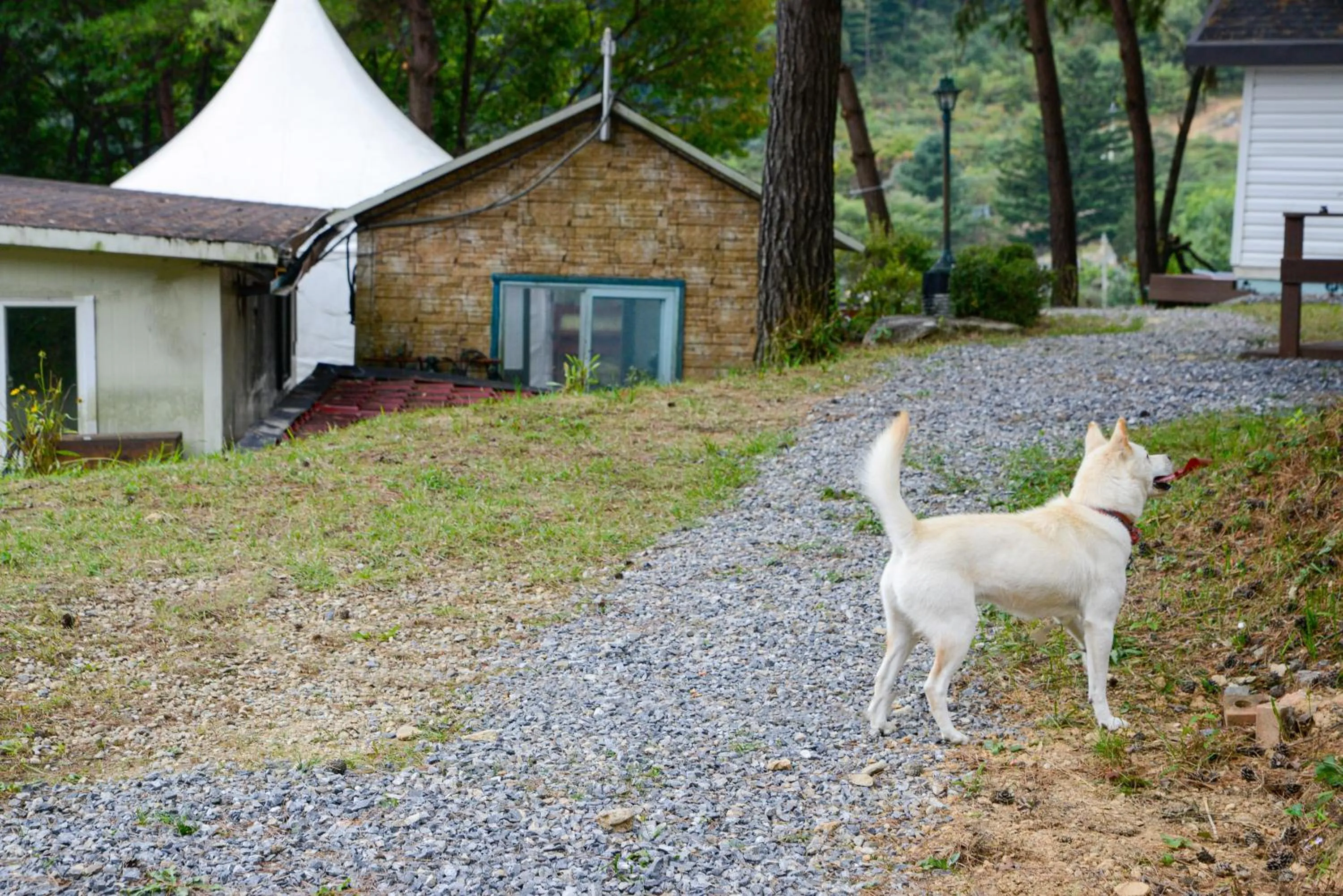 Pyeongchang The Meomum Pension