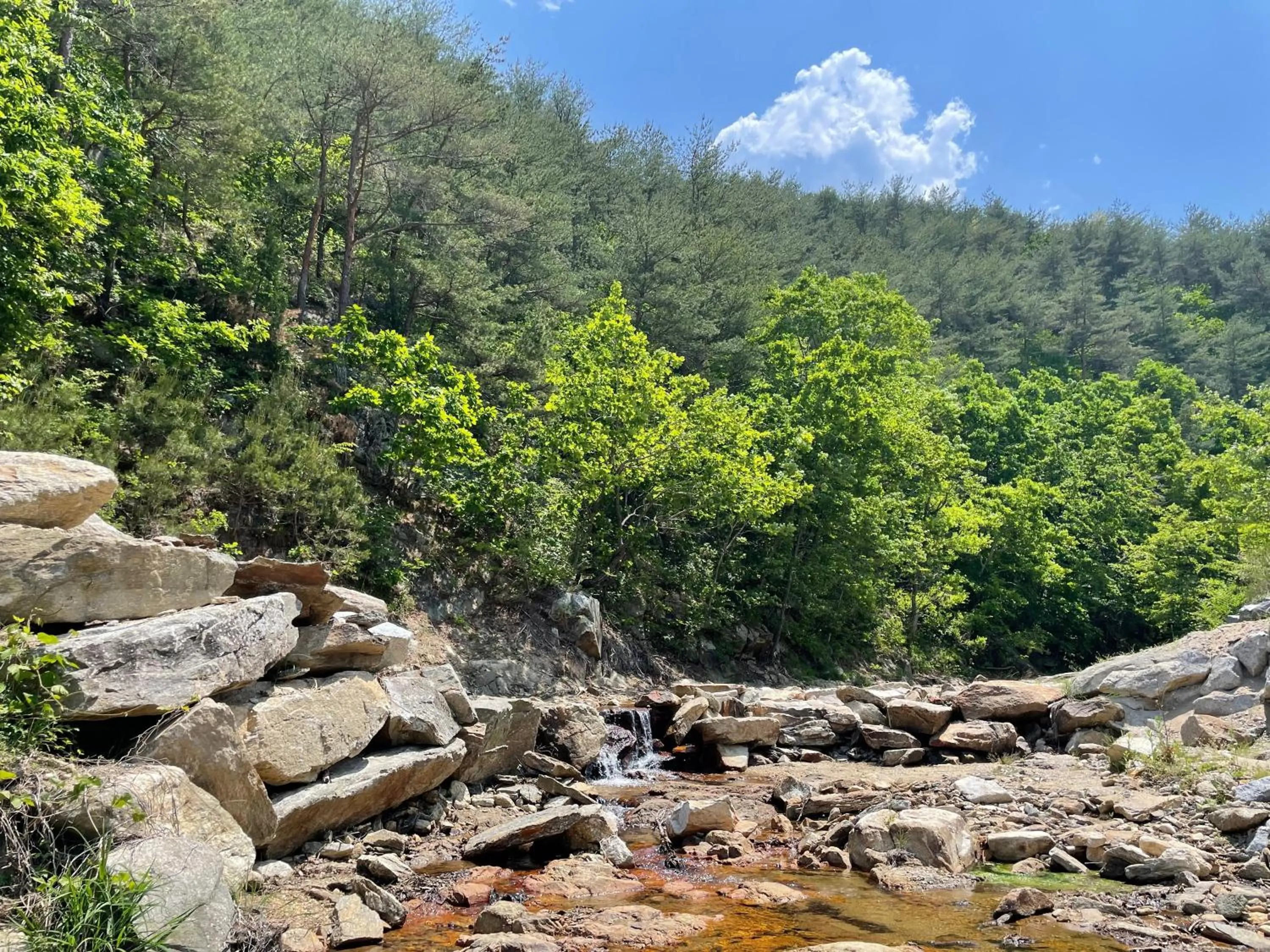 Yangyang Dalpaengi Pension