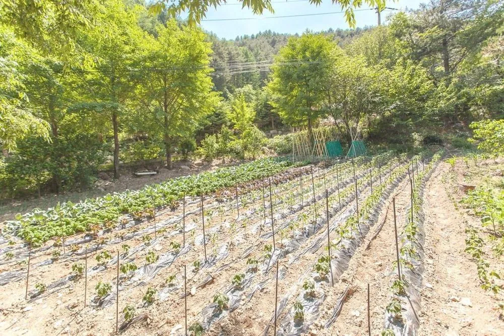 Pyeongchang Songnim Private Pension