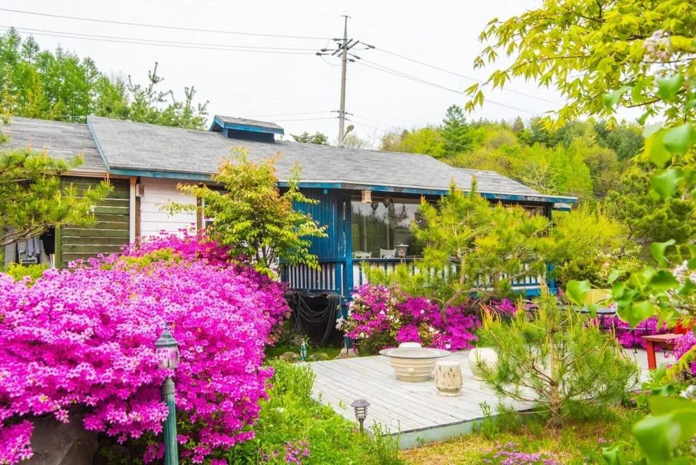 Pyeongchang Zermatt Pension Family, Couple