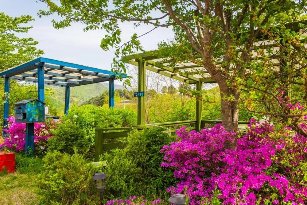 Pyeongchang Zermatt Pension Family, Couple