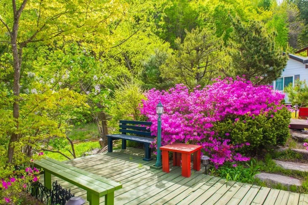 Pyeongchang Zermatt Pension Family, Couple