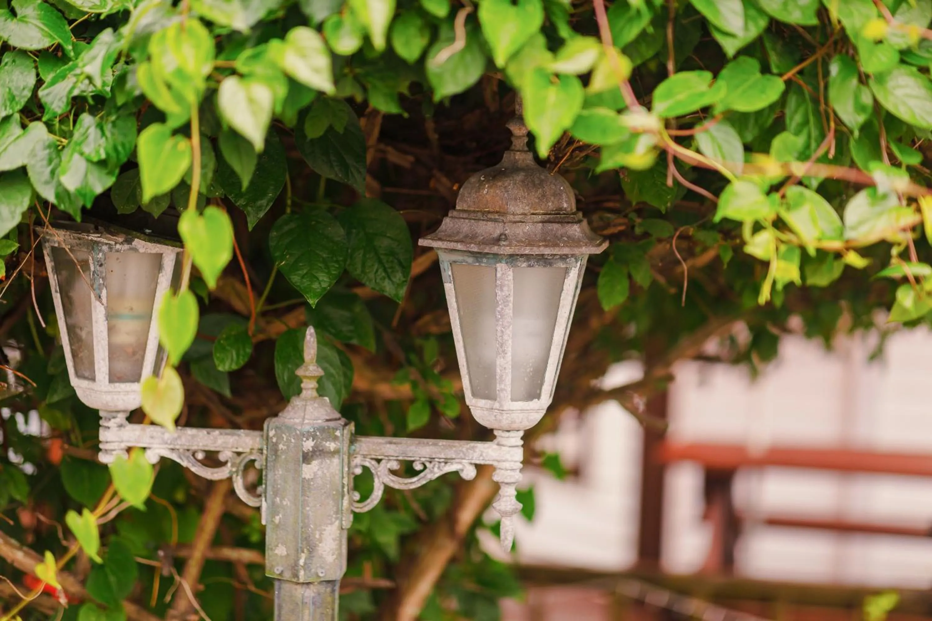 ahnmyeondo mabupisung pension