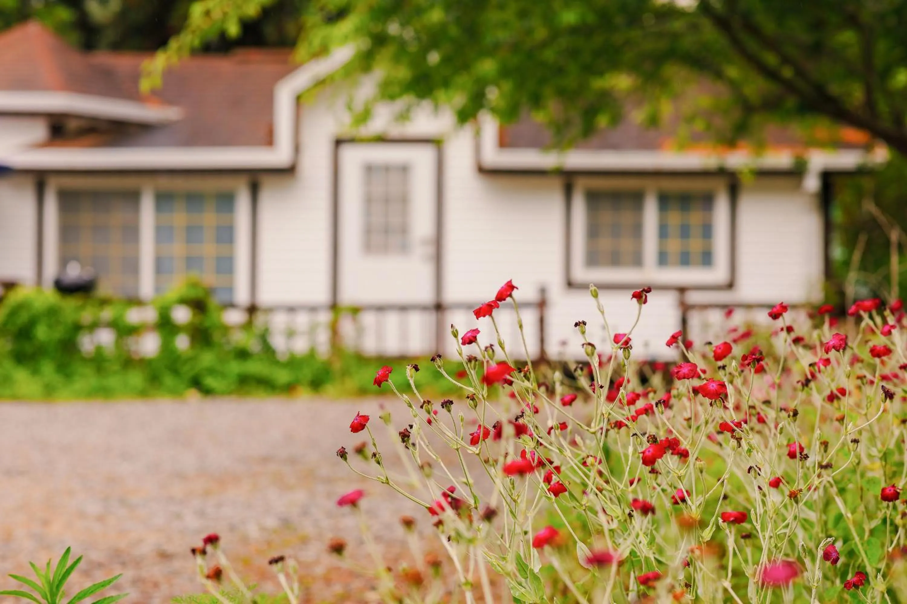 ahnmyeondo mabupisung pension