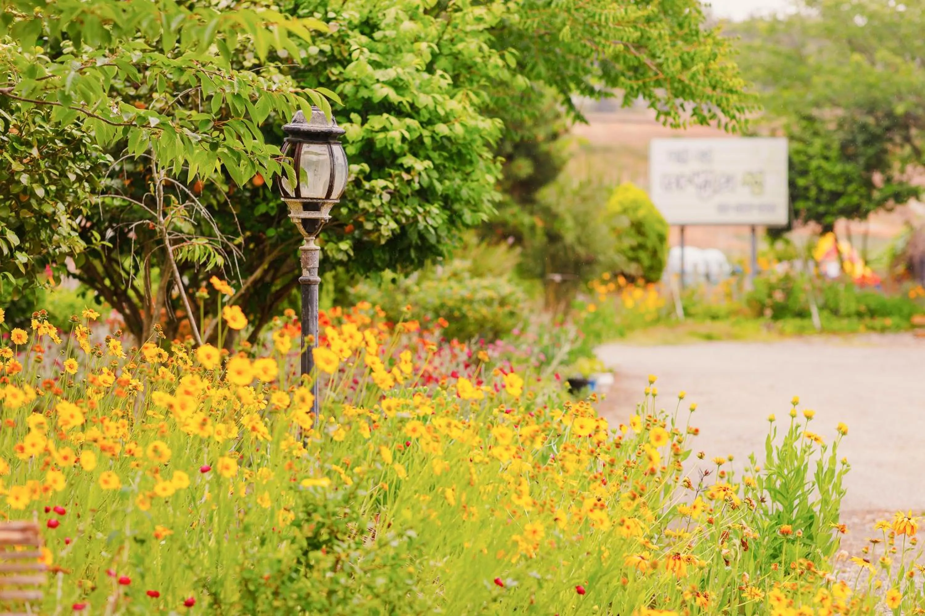 ahnmyeondo mabupisung pension