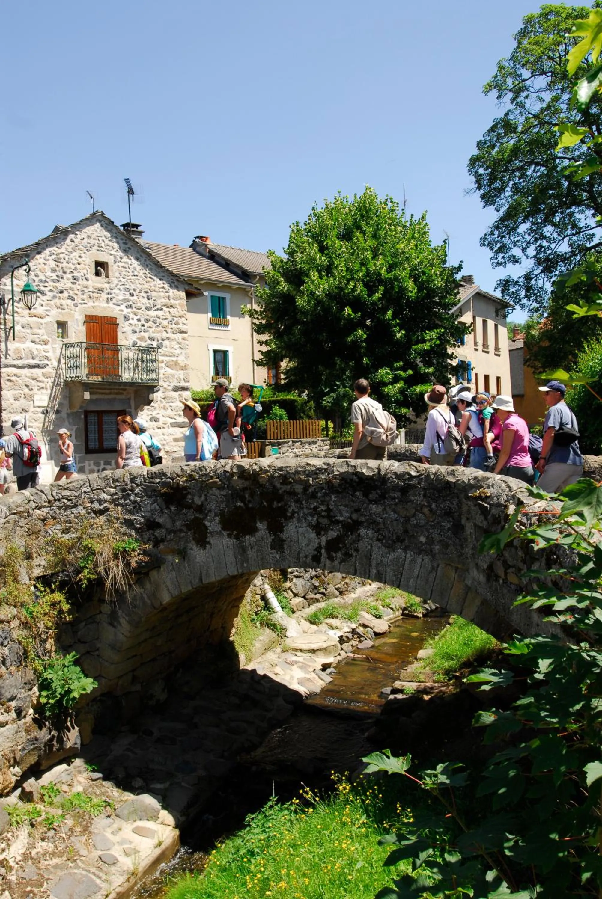 Natural landscape in VVF Haute Loire Saint-Julien-Chapteuil