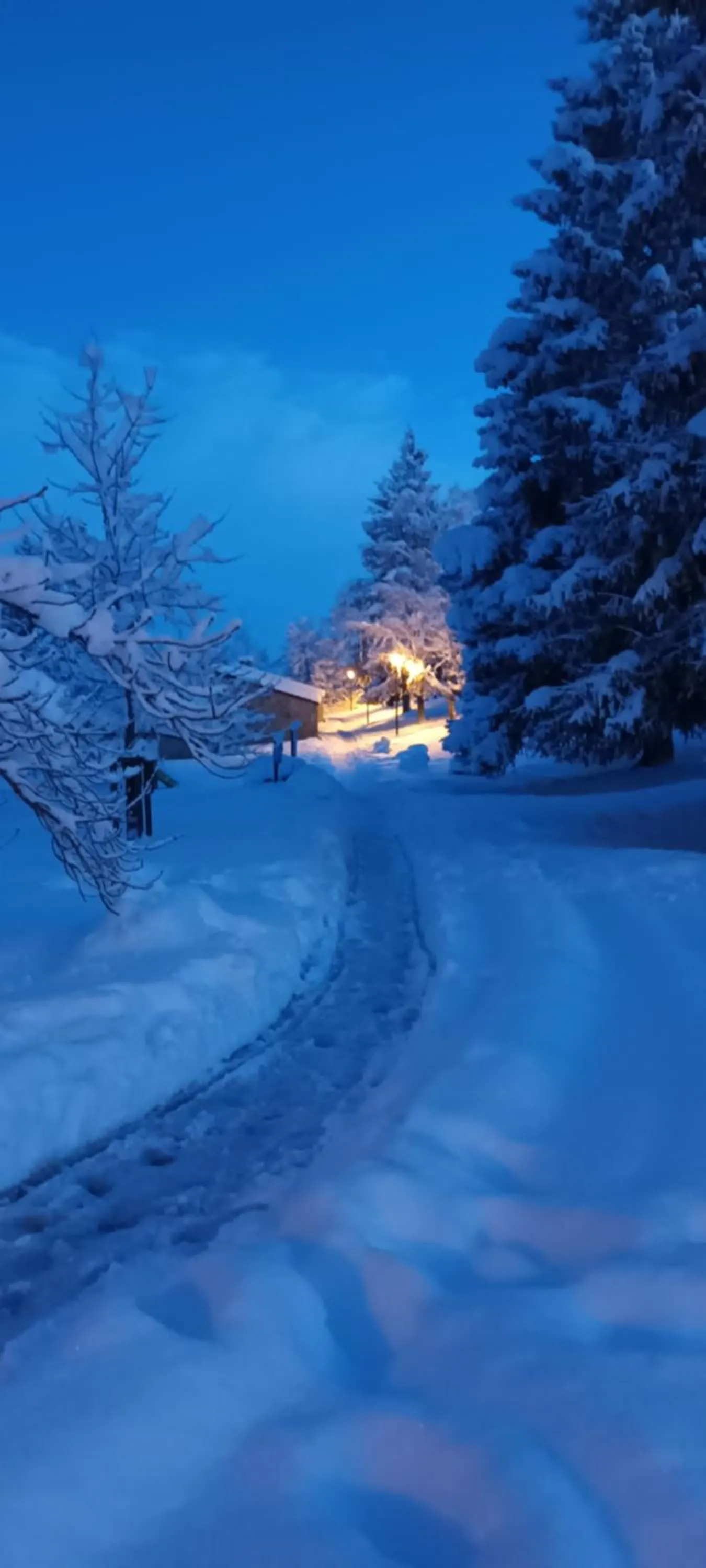 VVF Haute Loire Saint-Julien-Chapteuil