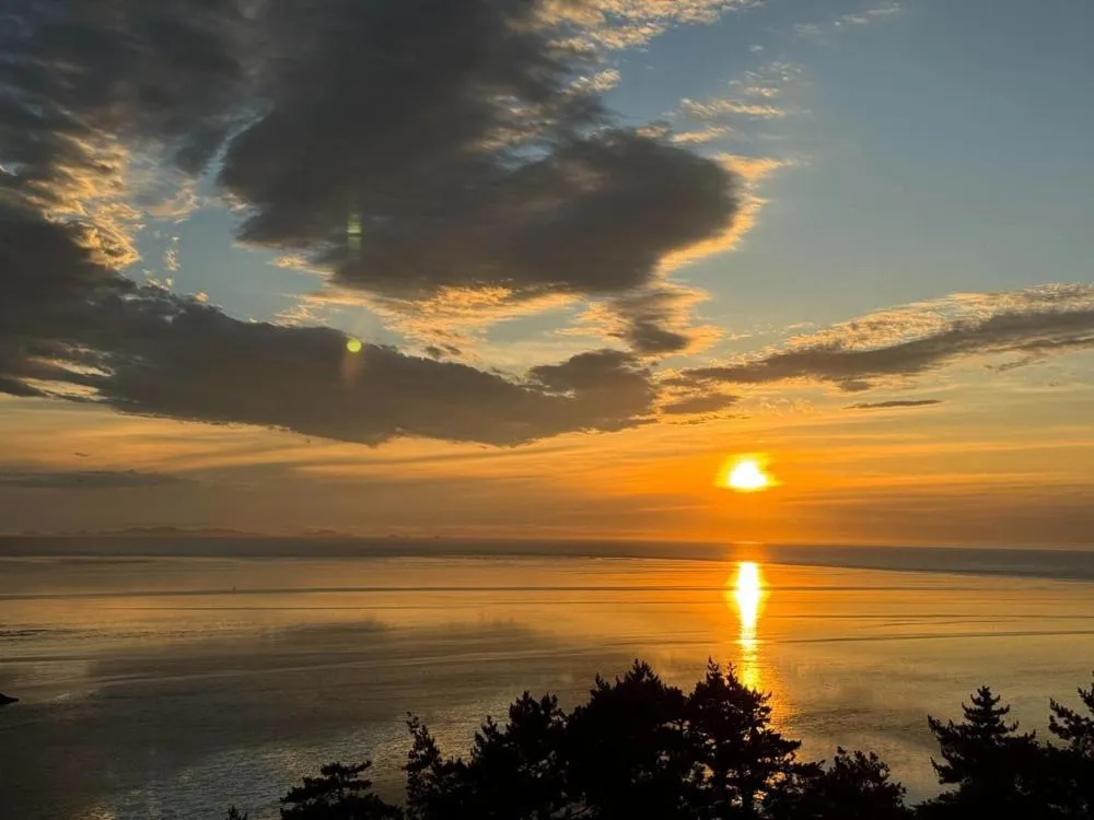 Road96 Caravan and Poolvilla