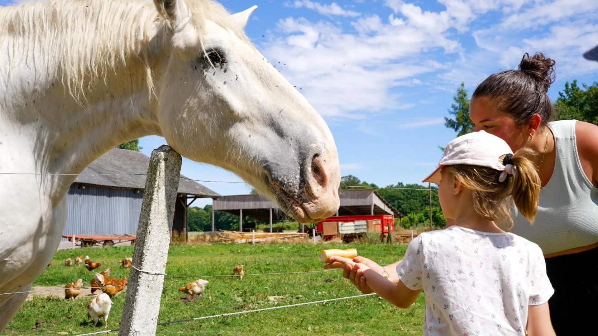 Day in VVF Normandie Veules-les-Roses