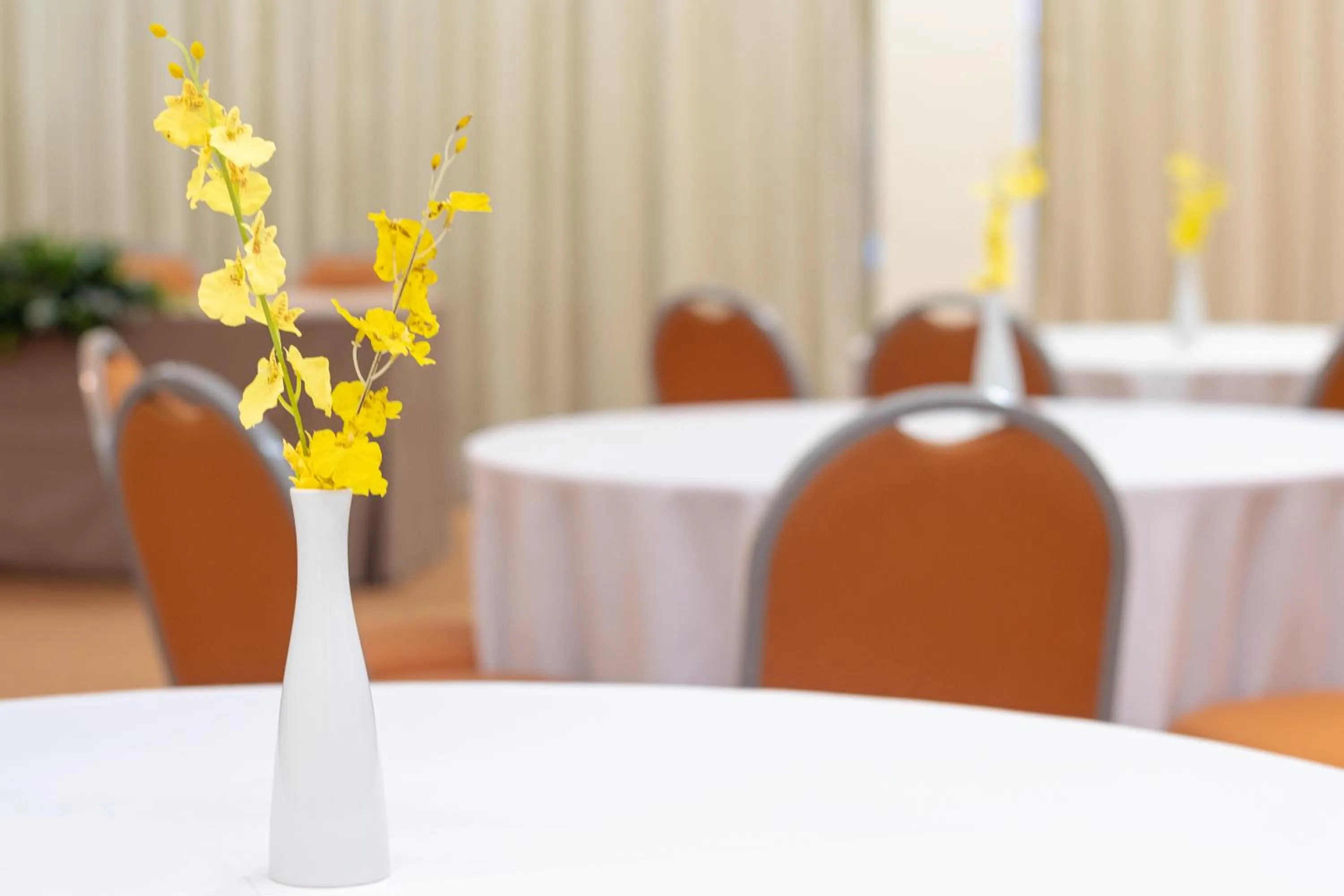 Meeting/conference room in Portobello Ondina Praia