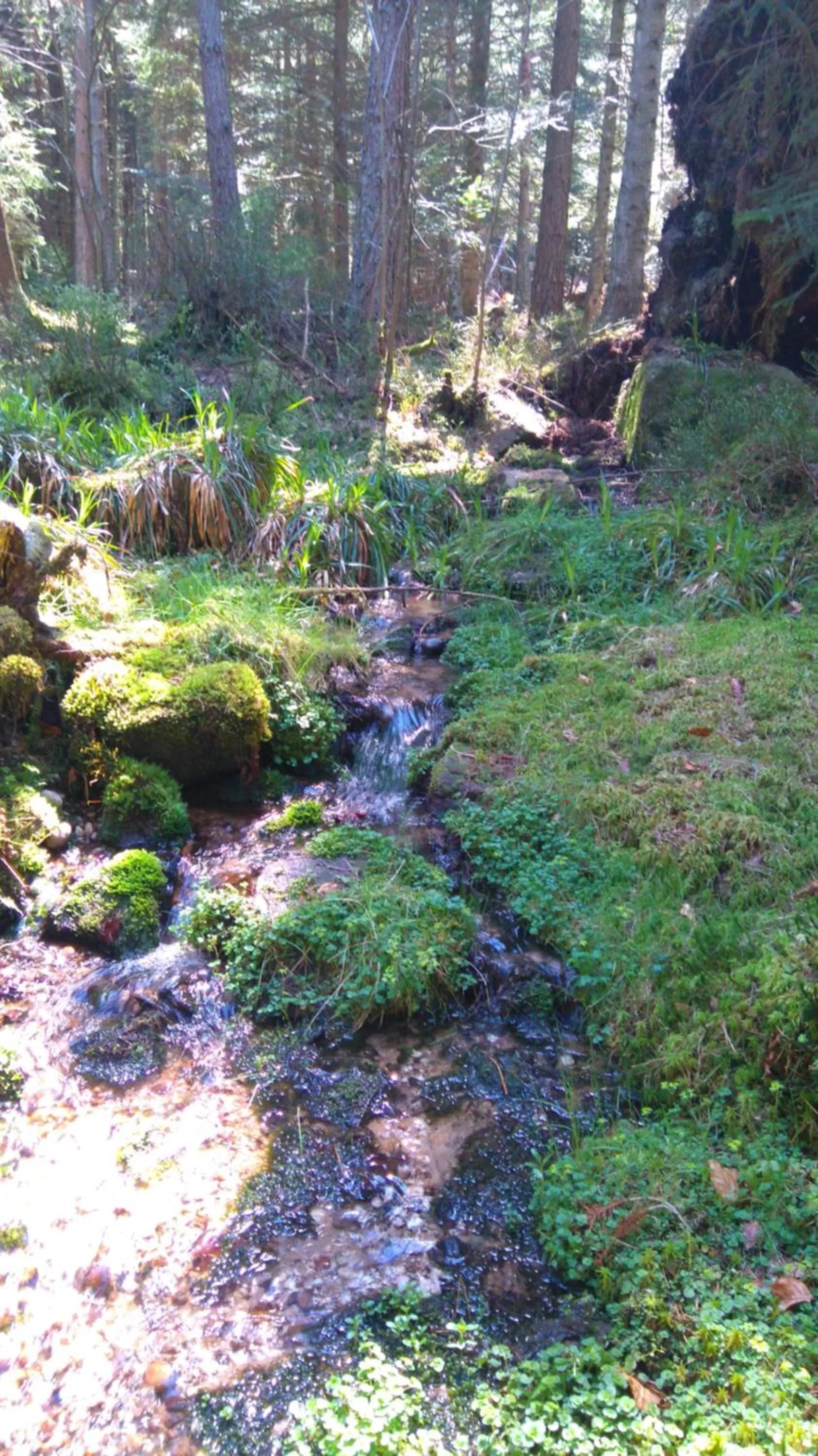 Nearby landmark in VVF Alsace Orbey Colmar