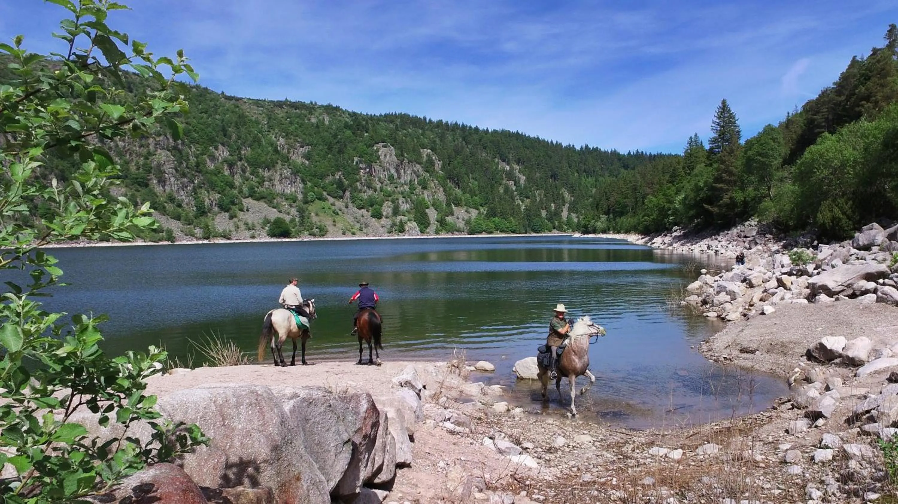 Off site in VVF Alsace Orbey Colmar