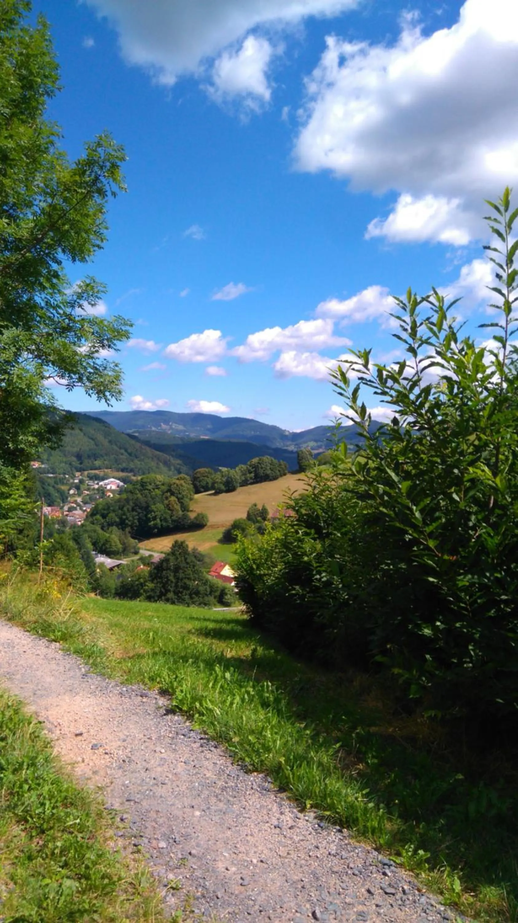 Nearby landmark in VVF Alsace Orbey Colmar