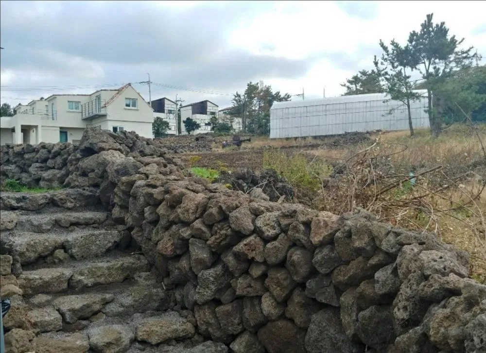 Jeju Bijarim Very Mung Pension