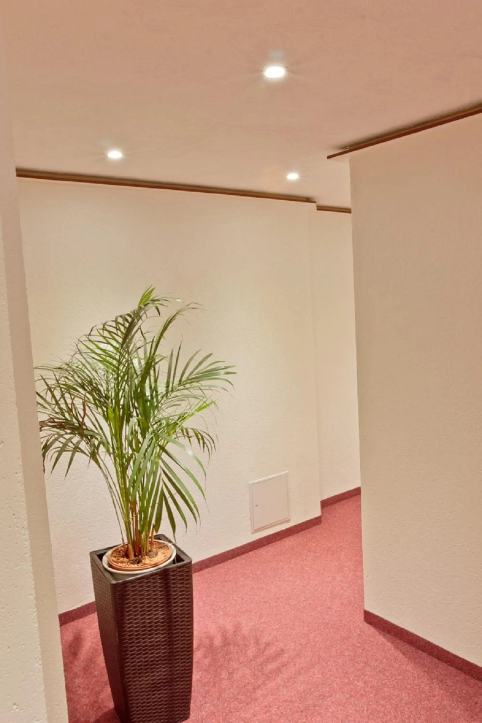 Other in Hotel Ganita Weil am Rhein