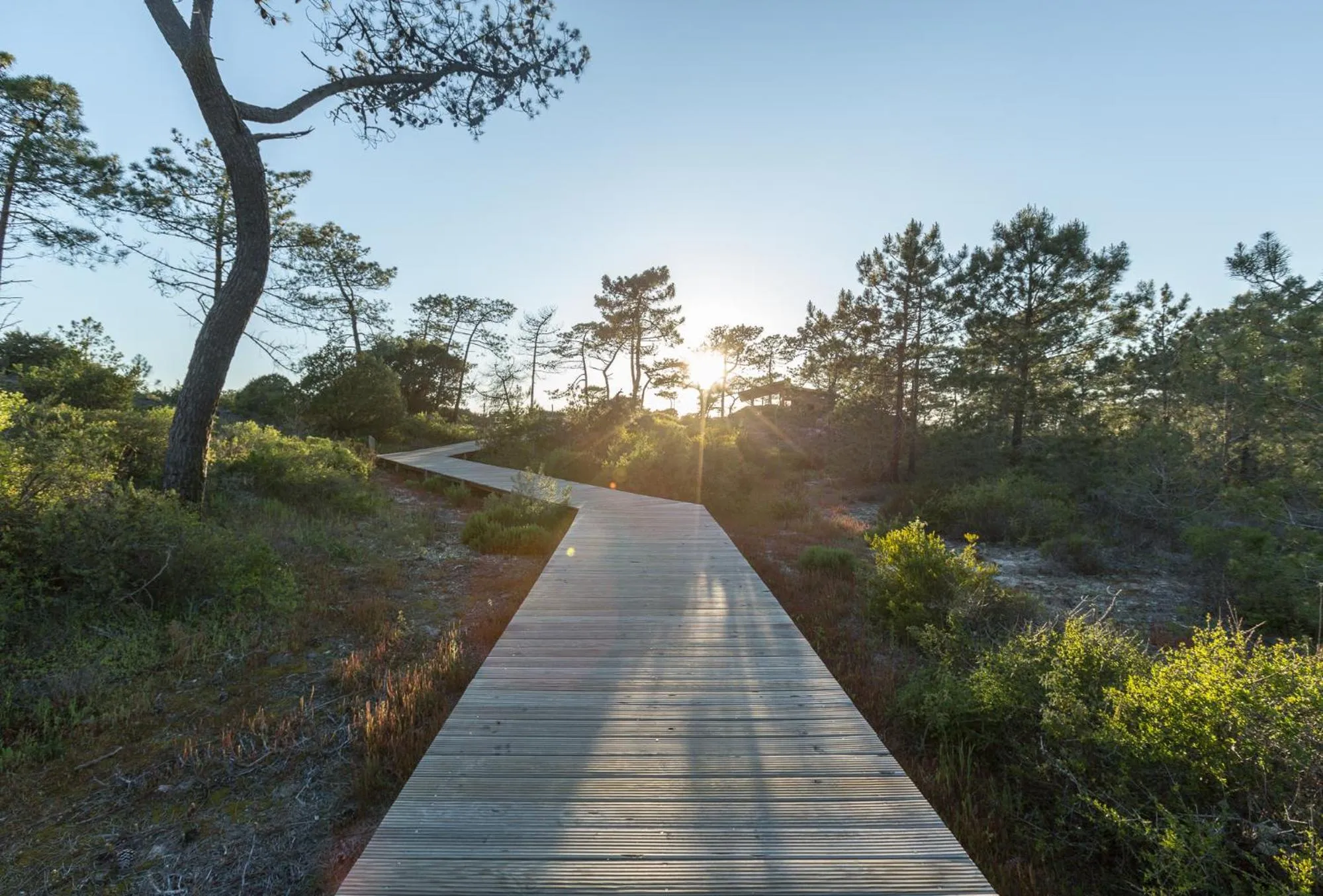 Natural landscape in Pestana Troia Eco-Resort & Residences