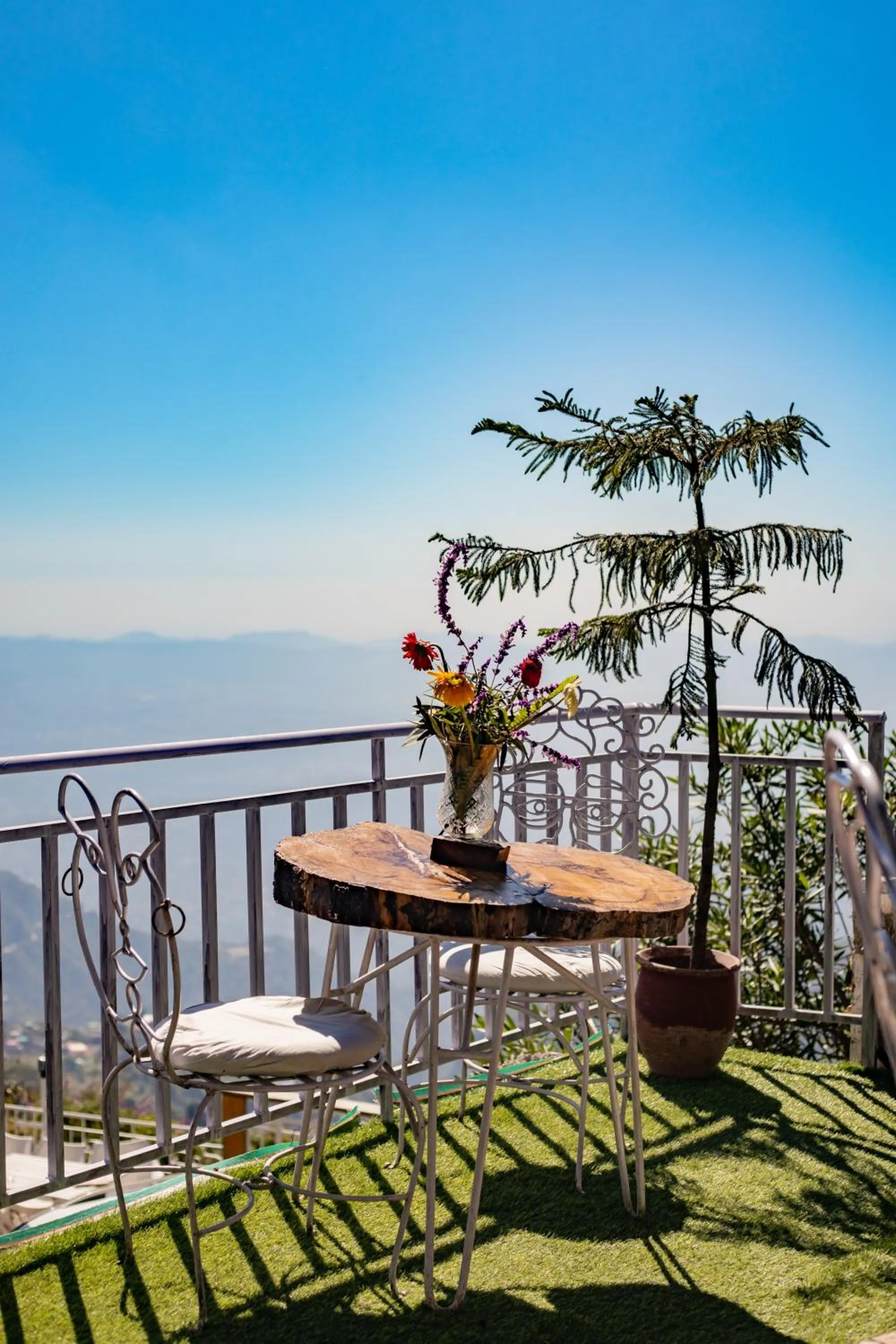 Natural landscape in Seclude Mussoorie, Winterline